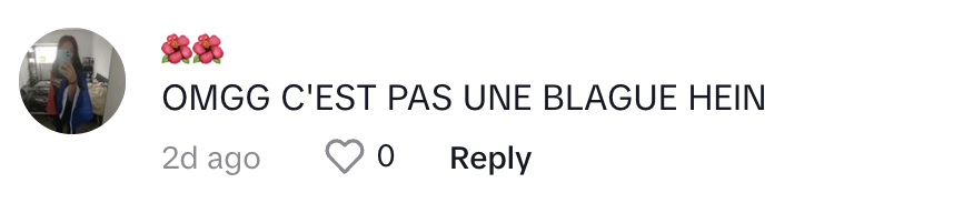 Commentaire d'une internaute sur la publication de @its_zozooo | Source : TikTok/@its_zozooo