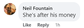 Un commentaire laissé sur un post Facebook concernant les fiançailles de Hulk Hogan et Sky Daily | Source : facebook.com/DailyMail