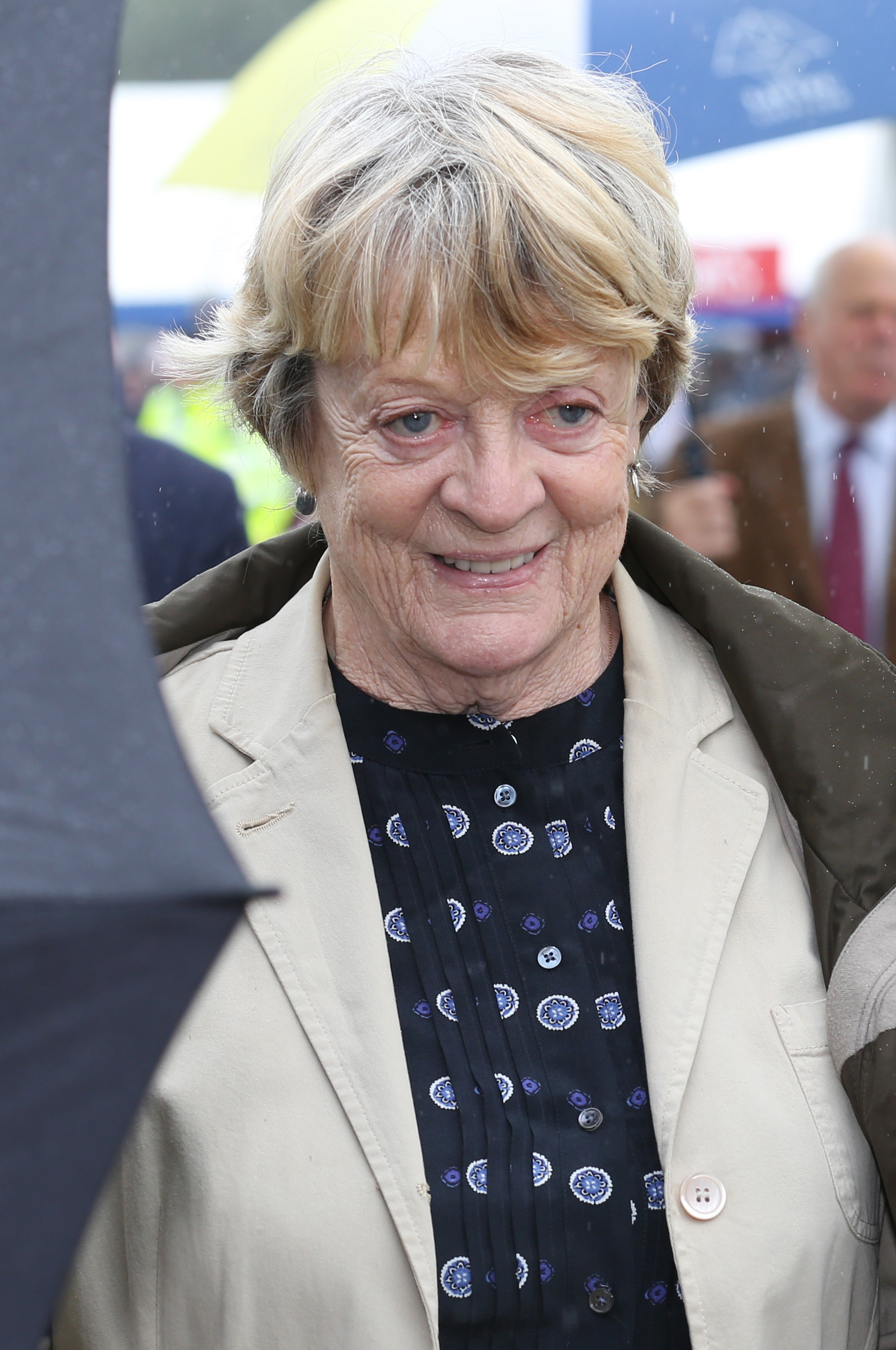 Maggie Smith lors de la 132e exposition florale de Sandringham le 31 juillet 2013 à Norfolk, en Angleterre. | Source : Getty Images