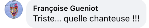 Commentaire d'une internaute sur le souhait de Nicole Croisille | Source : Facebook/Télé Loisirs