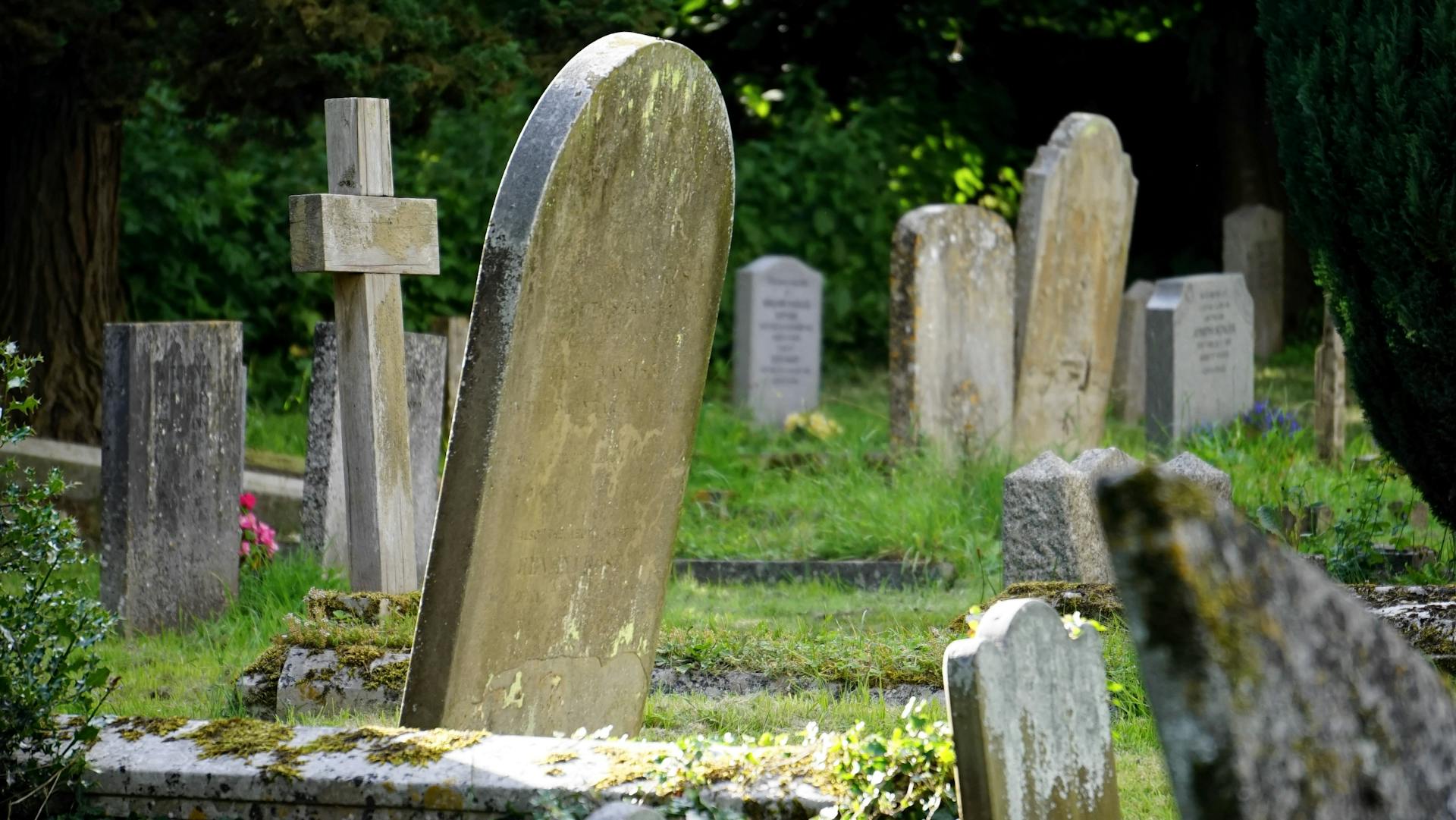 Un cimetière | Source : Pexels