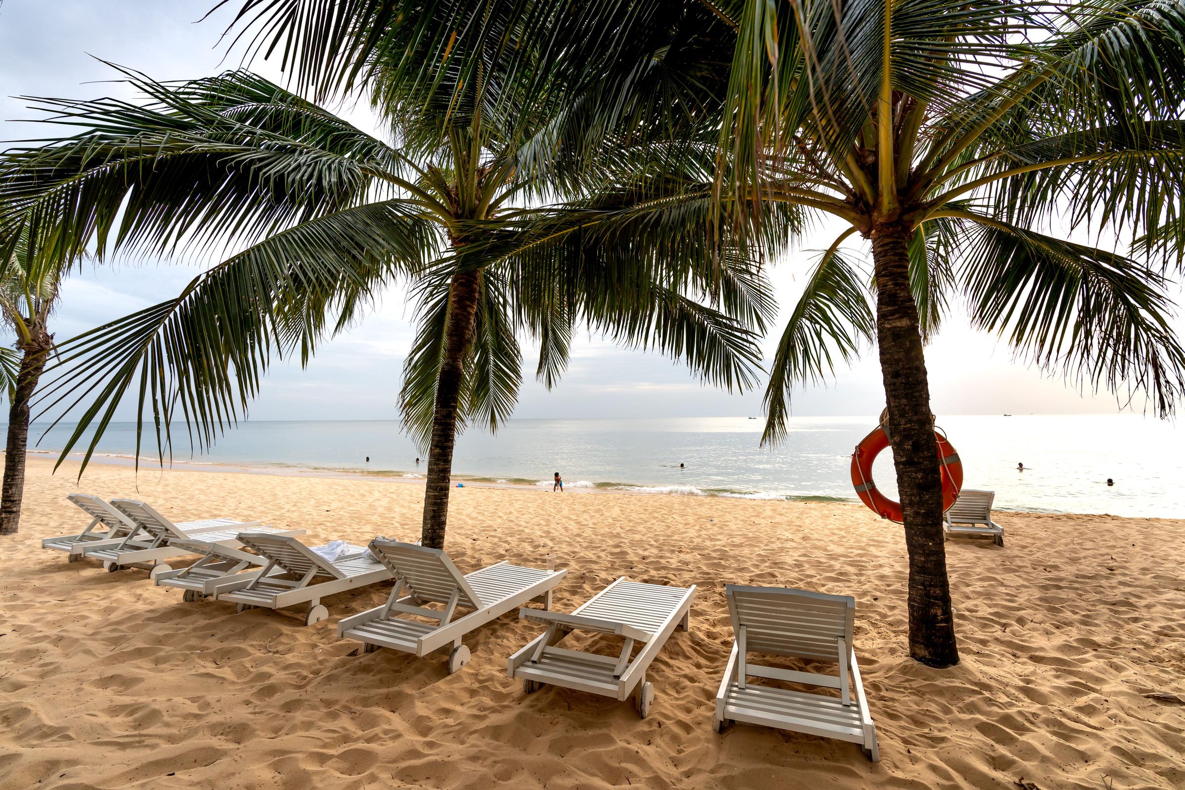 Une rangée de transats sur la plage | Source : Pexels