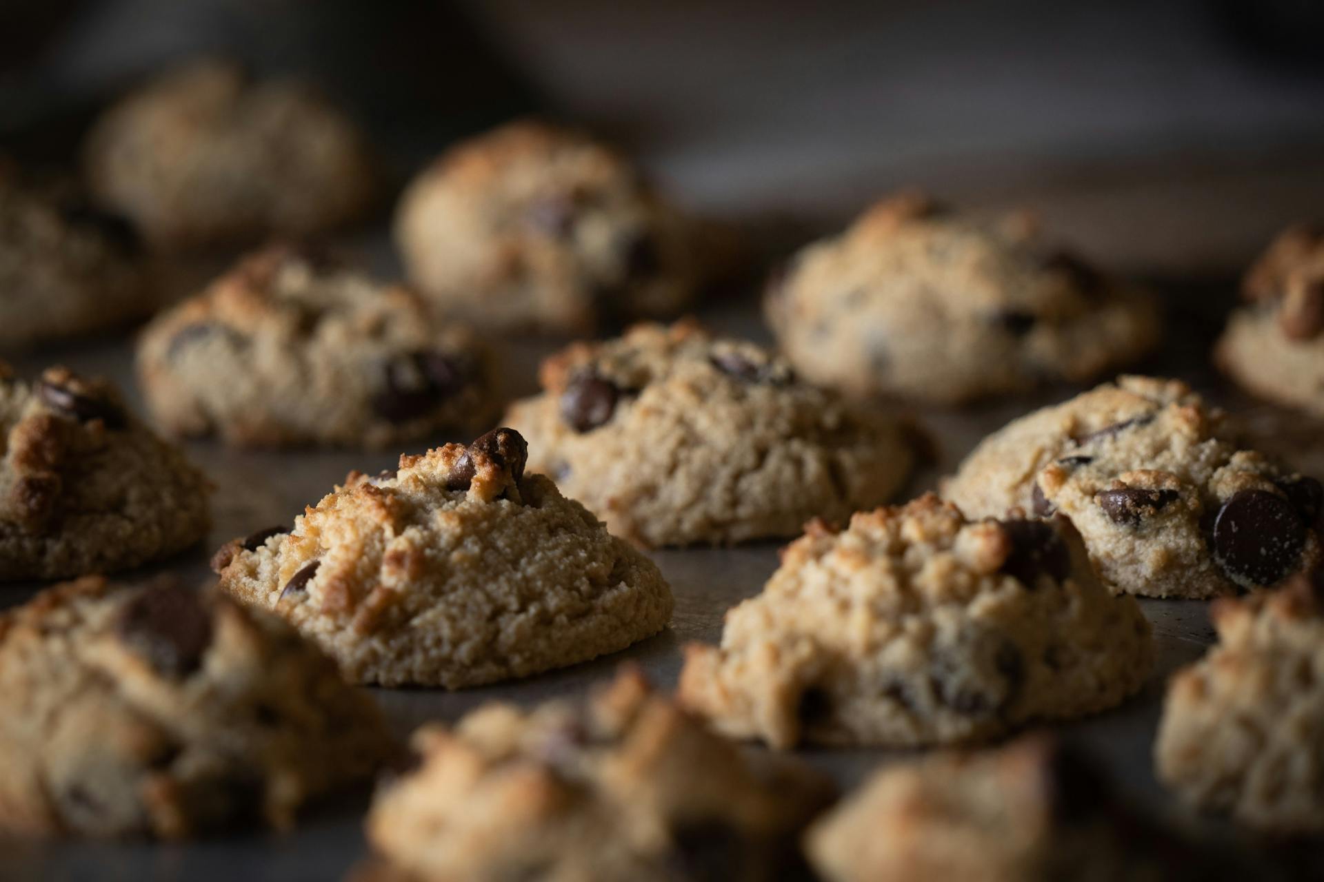Une fournée de biscuits aux pépites de chocolat | Source : Pexels