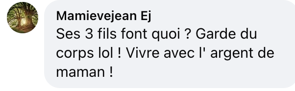 Commentaire d'internaute sur l'apparition de Céline Dion à Las Vegas | Source : capture réseaux sociaux