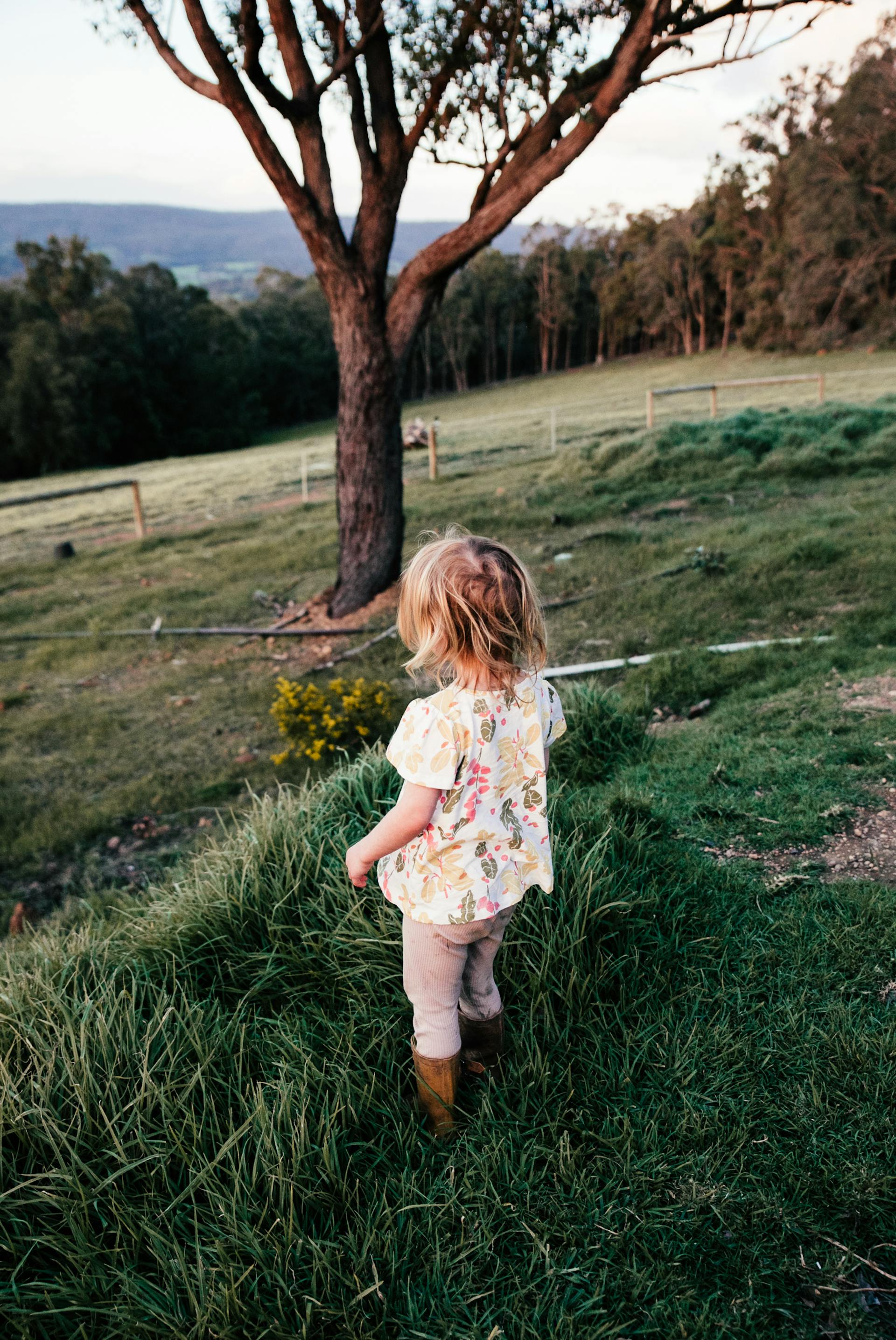 Une petite fille qui joue seule sur la pelouse | Source : Pexels