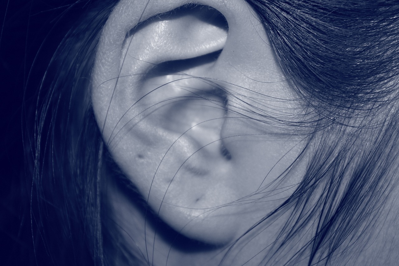 Gros plan d'une personne avec des piercings aux oreilles | Source : Pixabay