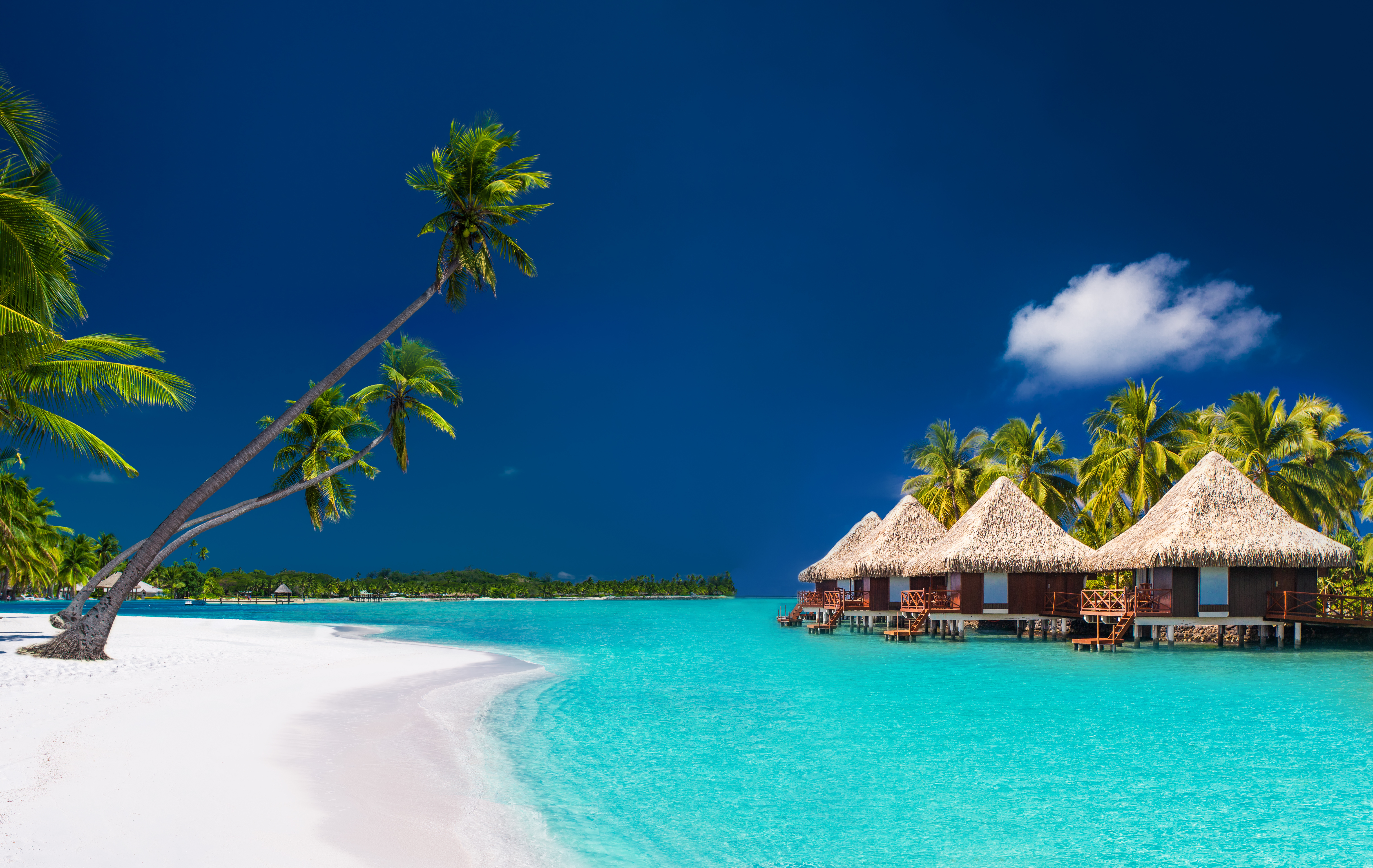 Villas au bord de la plage à Bora Bora | Source : Shutterstock