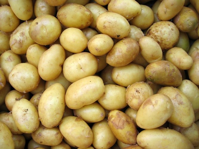 Des pommes de terre. | Photo : Unsplash