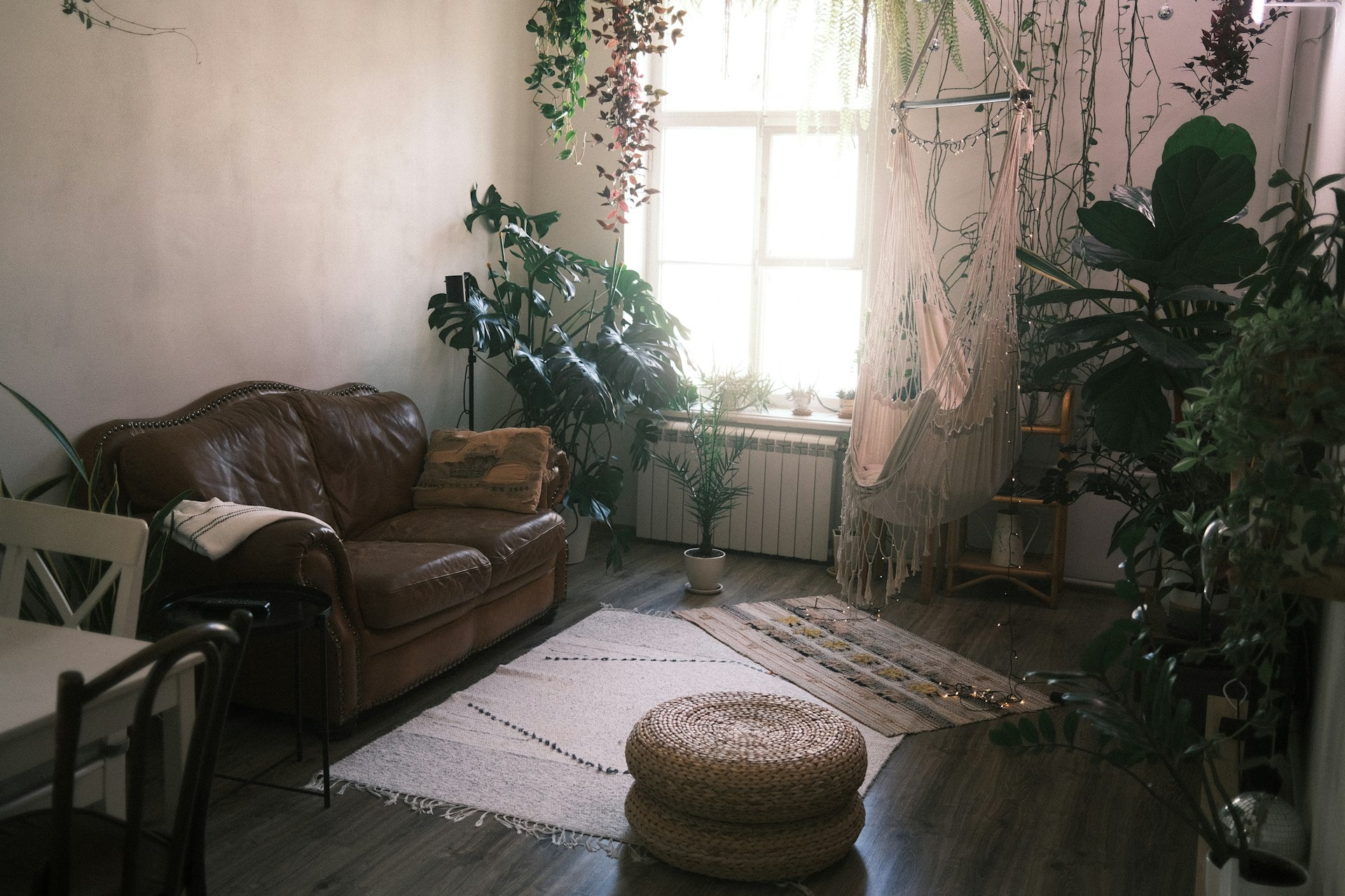 Un salon élégant avec des plantes d'intérieur | Source : Unsplash