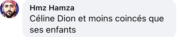 Commentaire d'internaute sur l'apparition de Céline Dion à Las Vegas | Source : capture réseaux sociaux