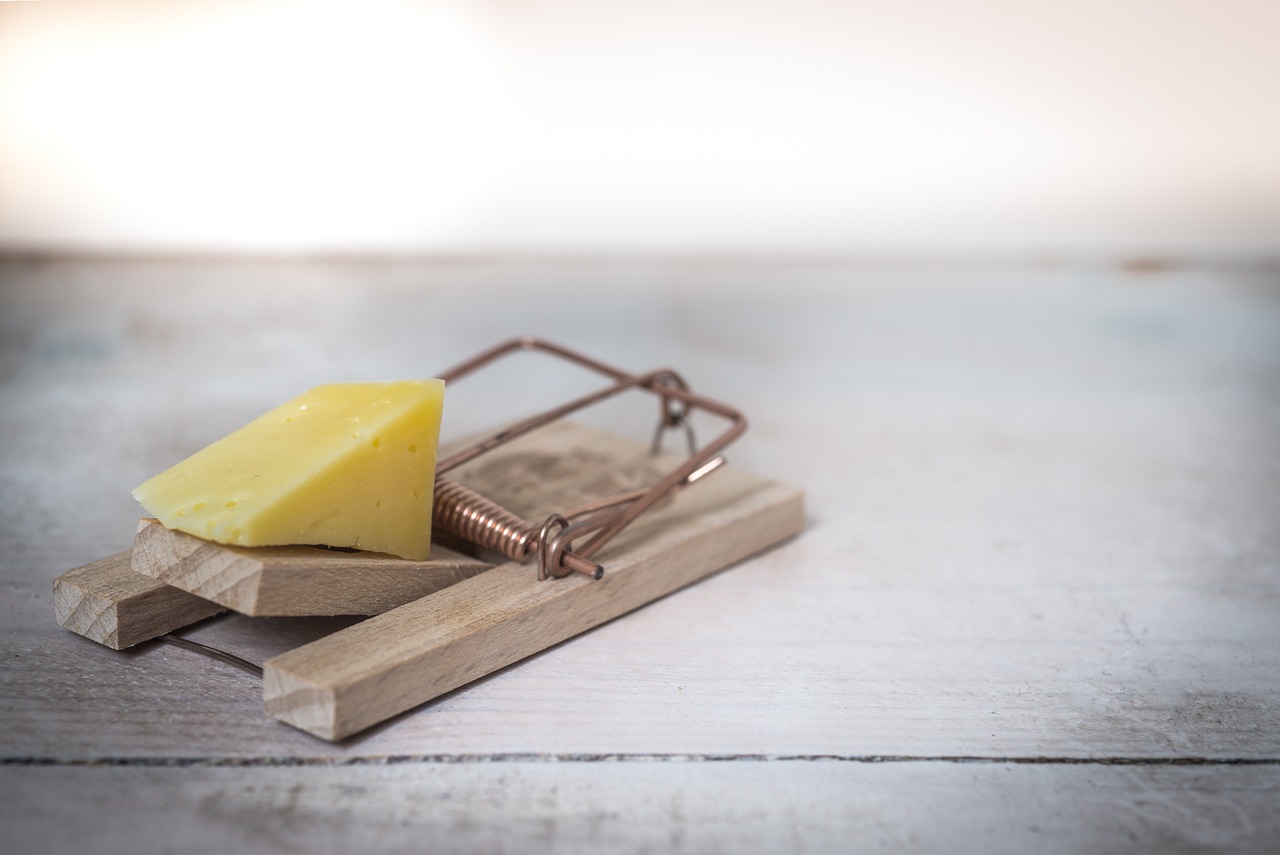 Souricière avec du fromage | Source : Pixabay