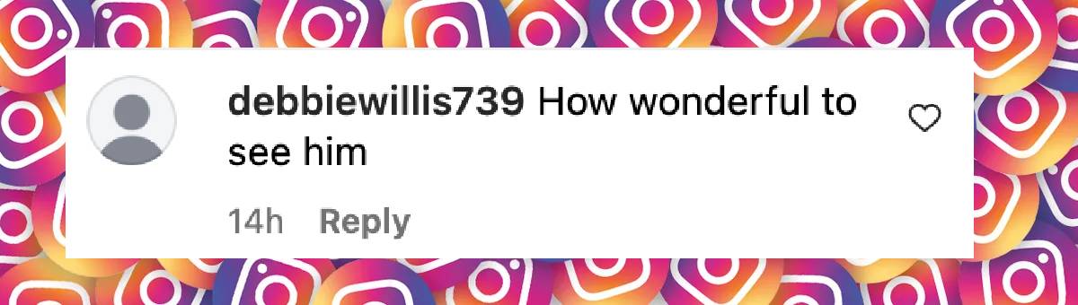 Un commentaire de fan sur Bruce Willis, daté du 17 janvier 2025 | Source : Instagram/tmz_tv