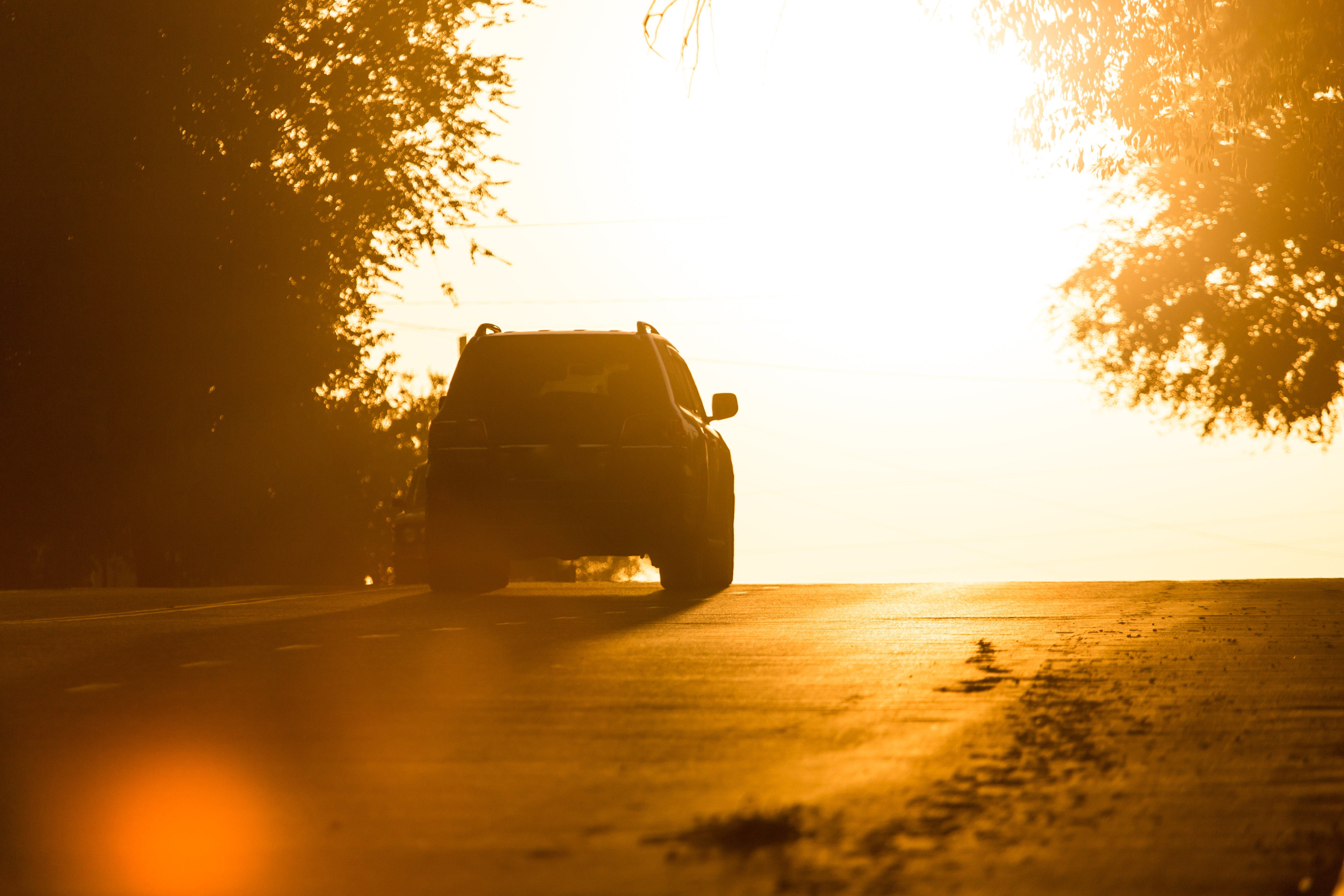 Une voiture au coucher du soleil | Source : Shutterstock