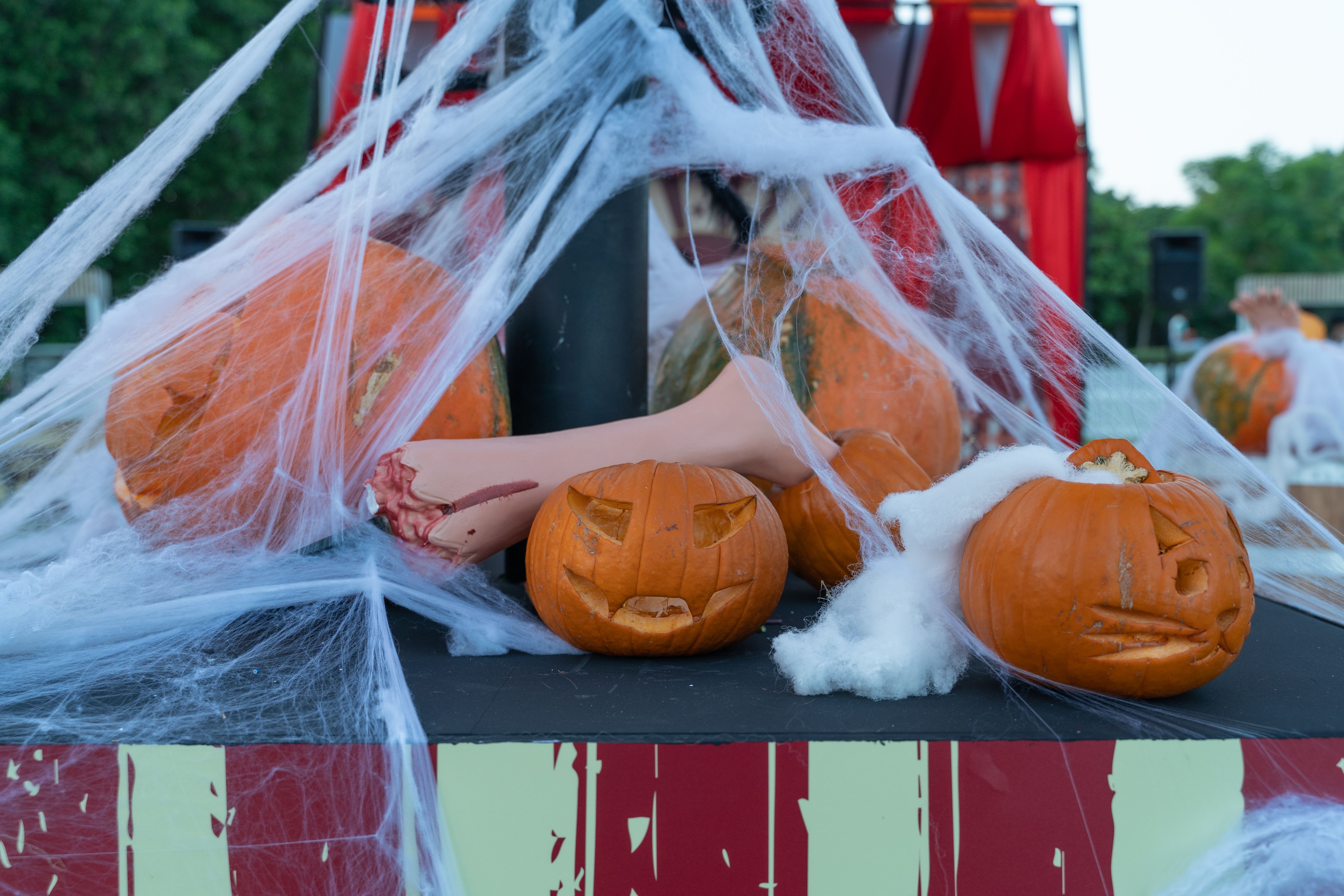 Un lot de citrouilles | Source : Pexels