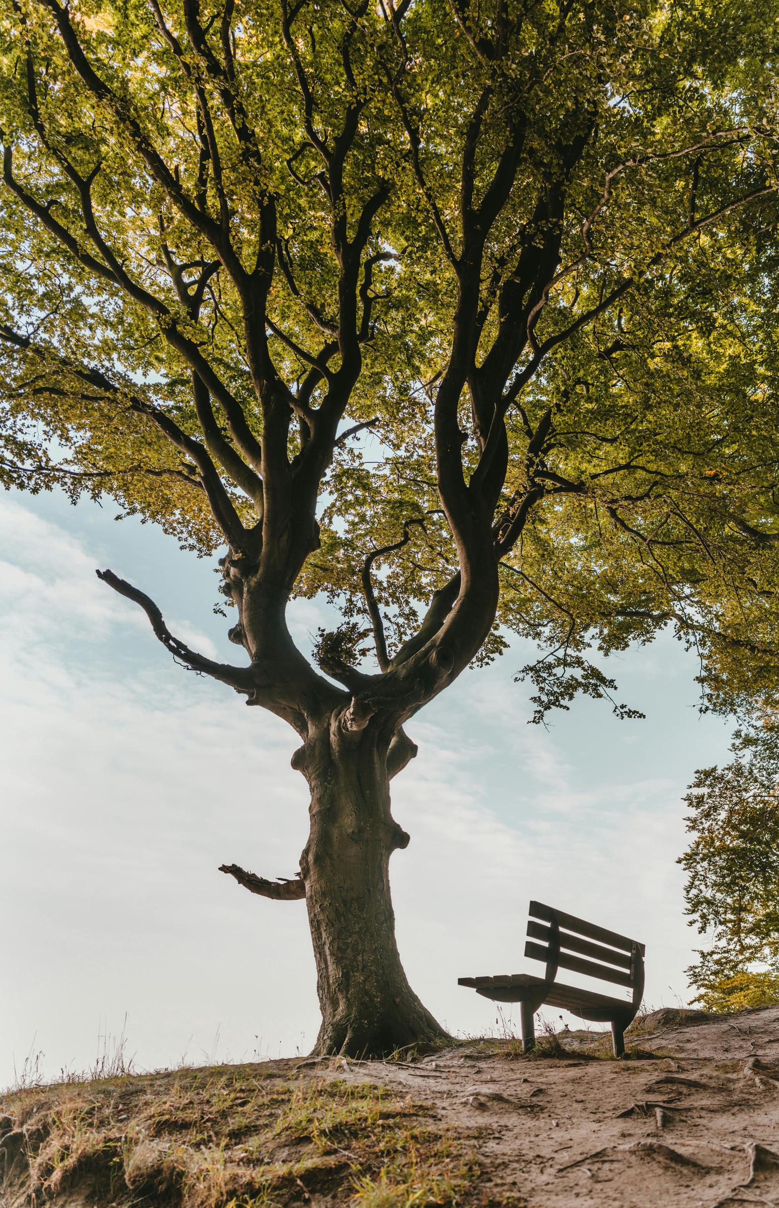À des fins d'illustration uniquement. | Source : Pexels