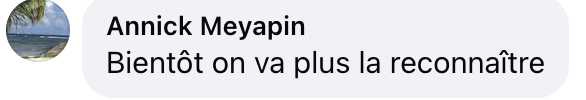 Capture d'écran du commentaire d'un internaute I Source : Facebook