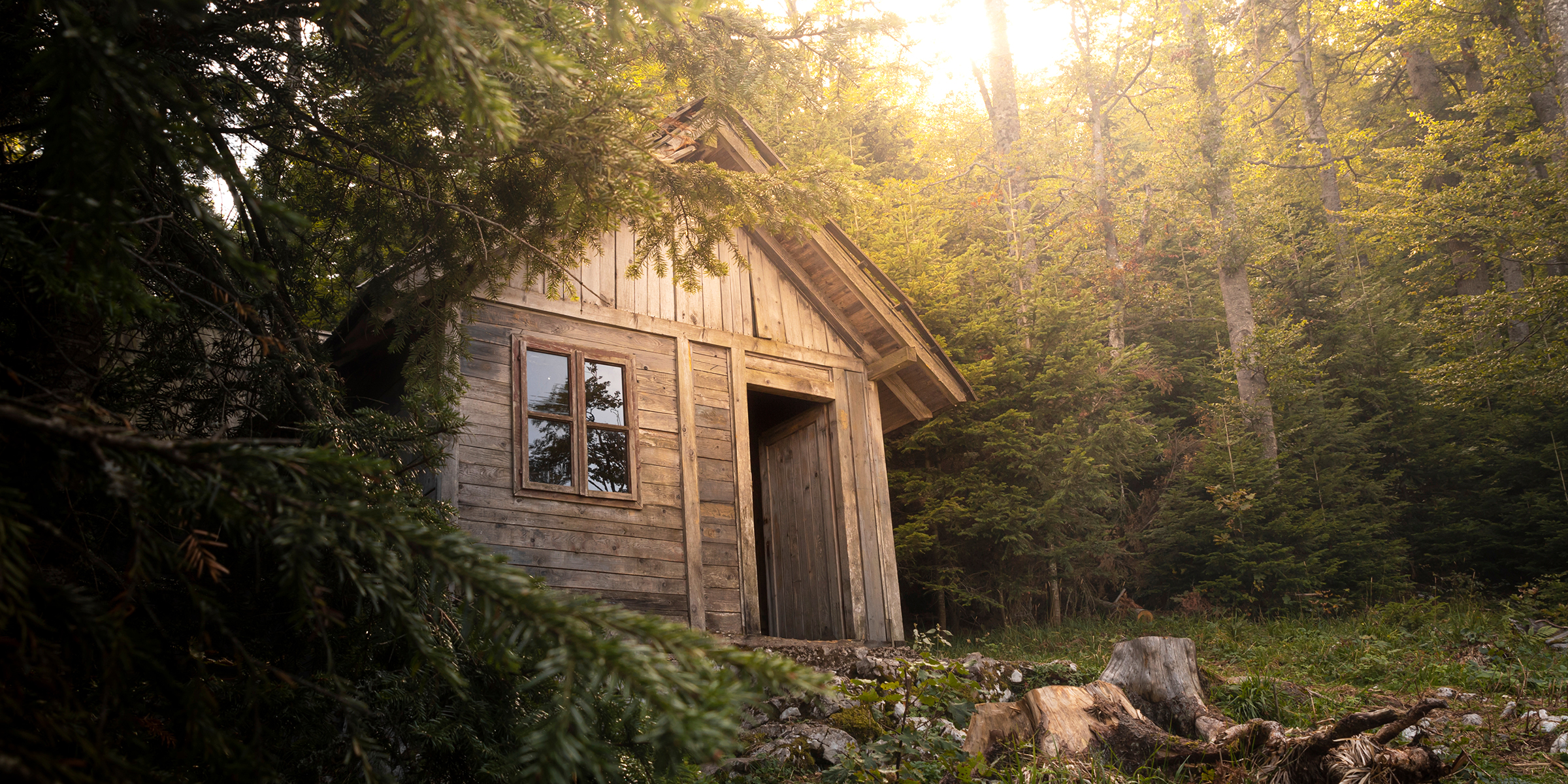 Une petite cabane dans les bois | Source : Shutterstock