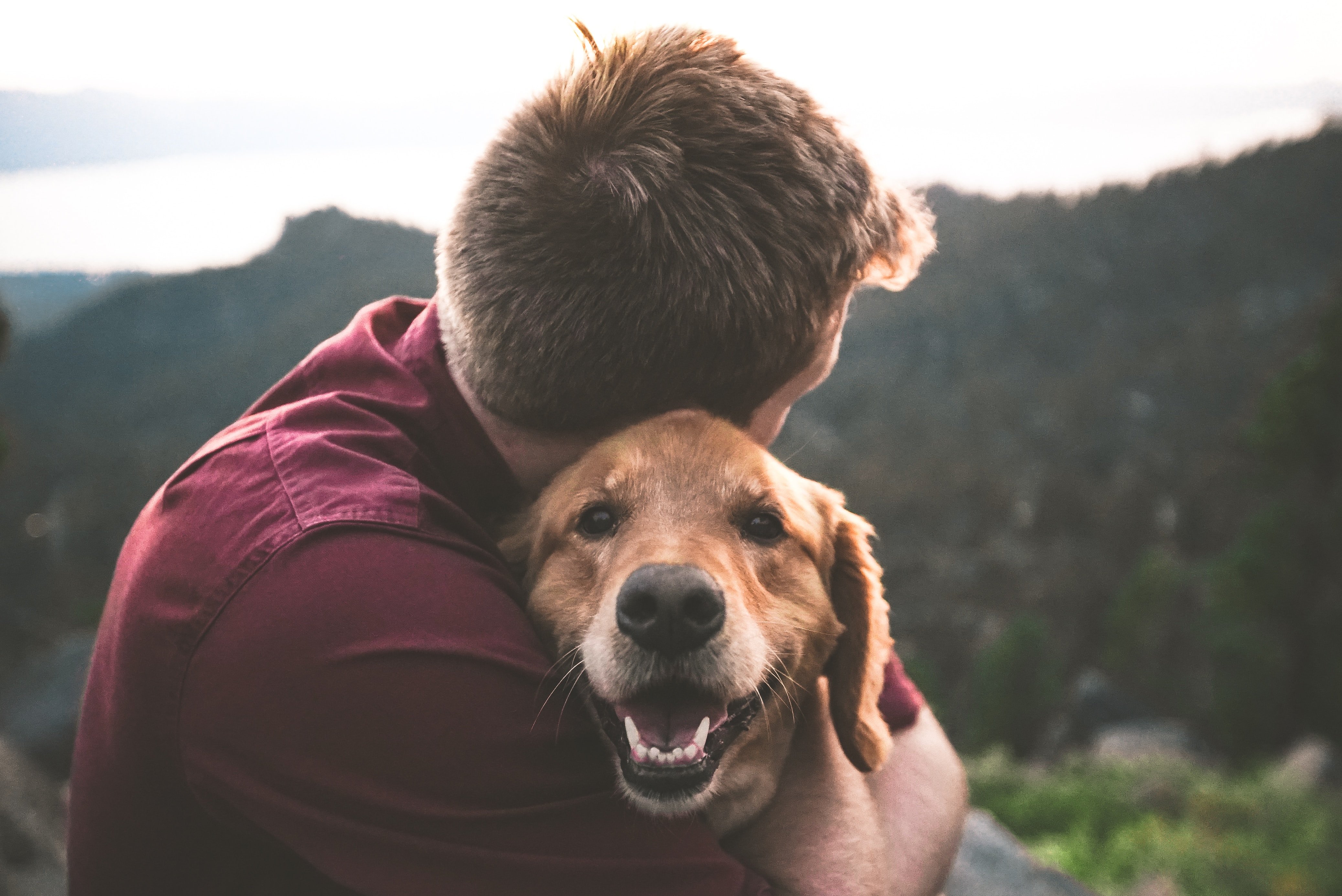 Un homme faisant un calin à son chien. | Source : Unsplash.com