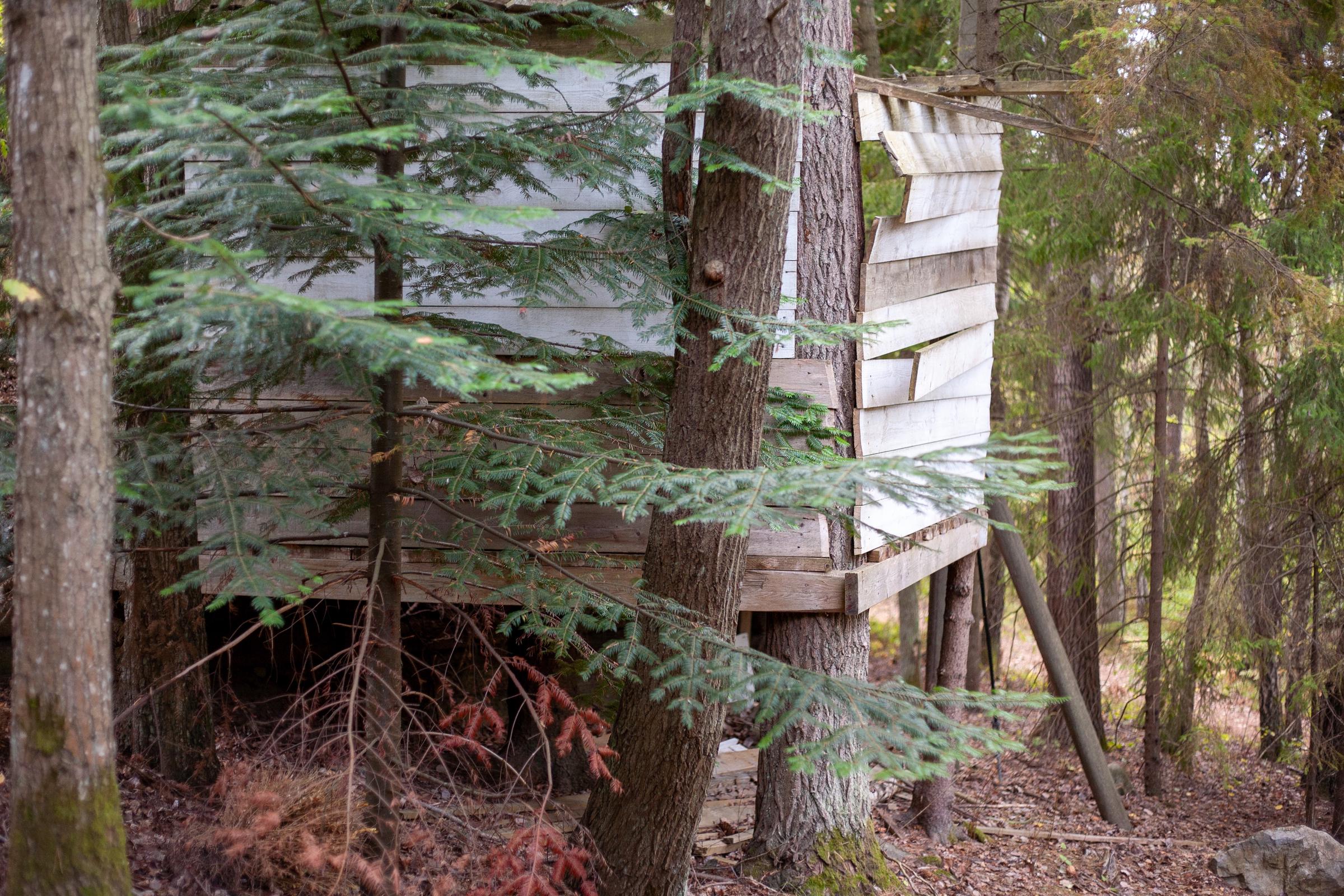 Une petite cabane dans les bois | Source : Freepik