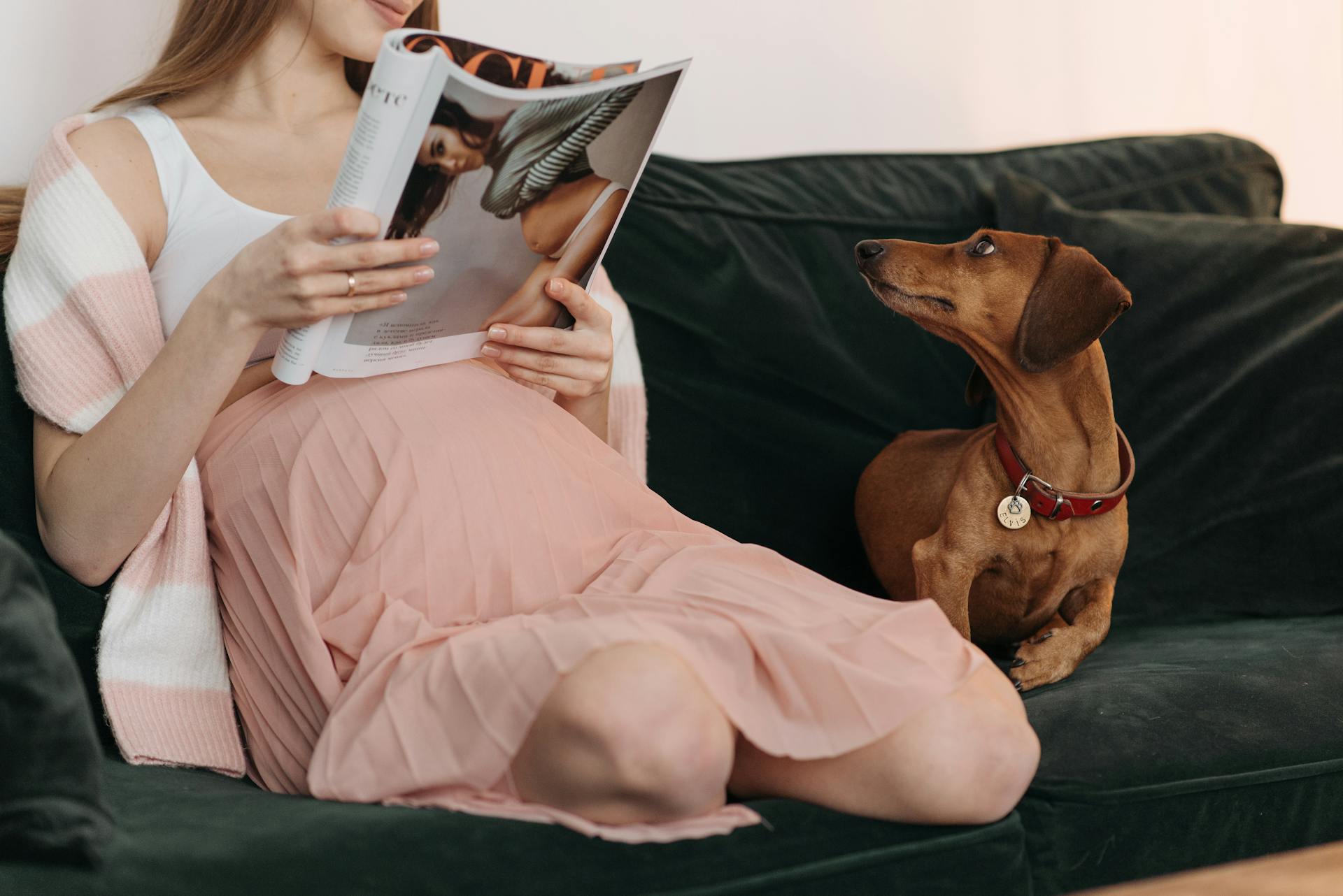 Une femme sur un canapé | Source : Pexels