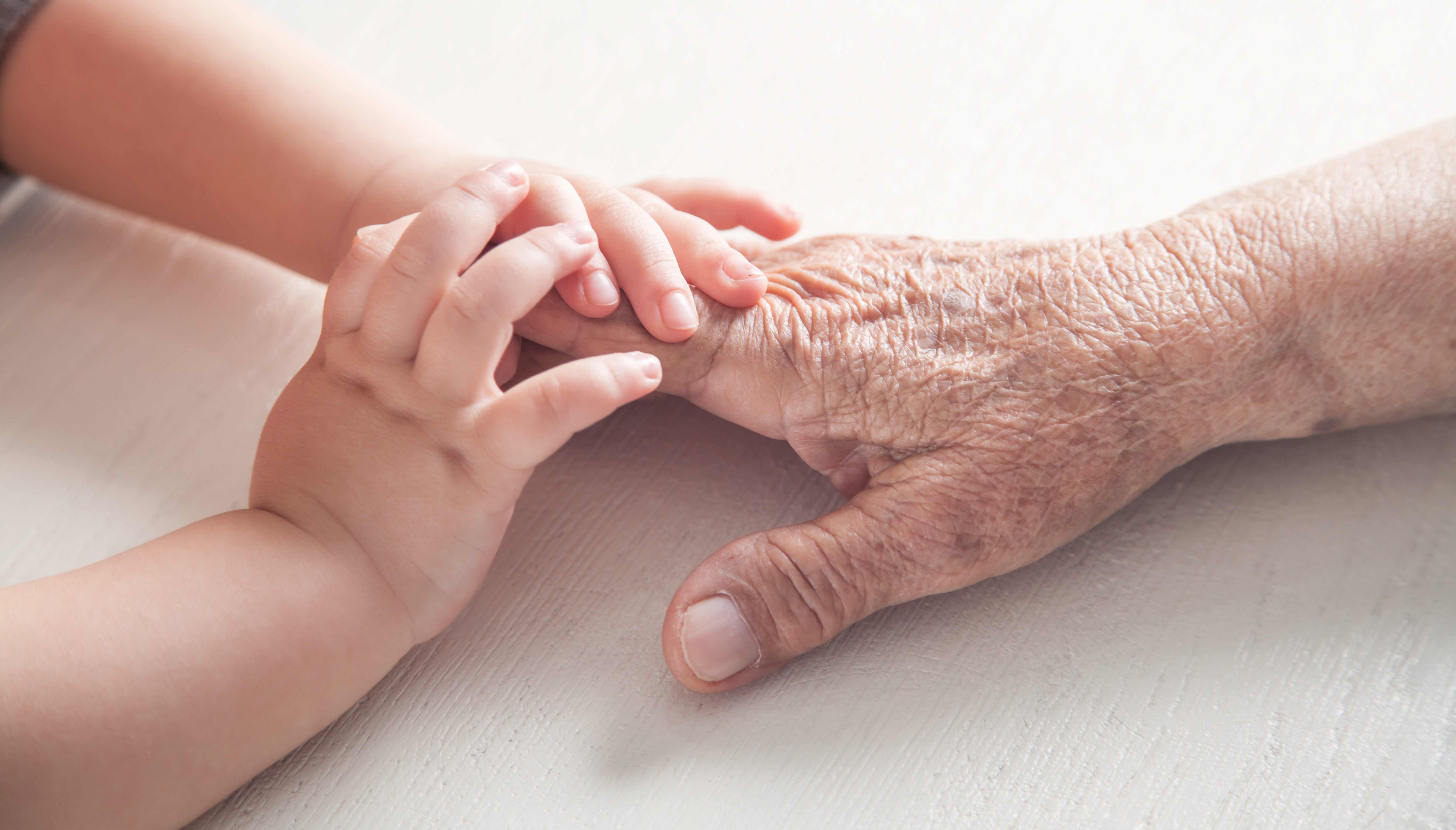 Les mains d'un enfant tenant la main d'une personne âgée. | Source : Shutterstock/ANDRANIK HAKOBYAN