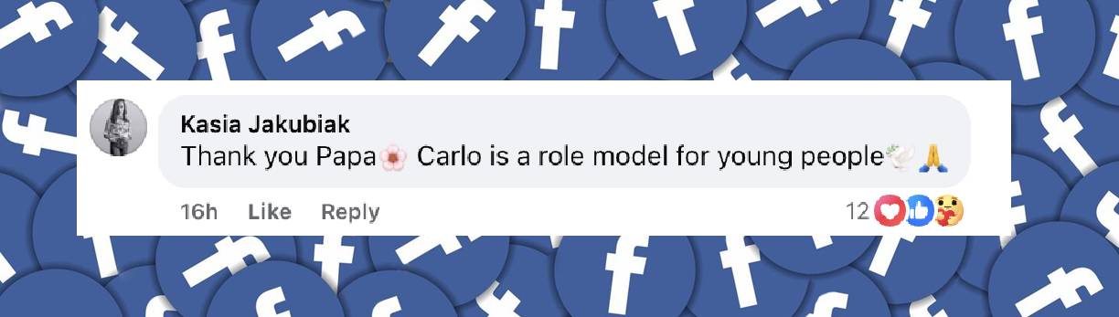 Un commentaire de fan daté du 13 juin 2025 | Source : Facebook/vaticannews