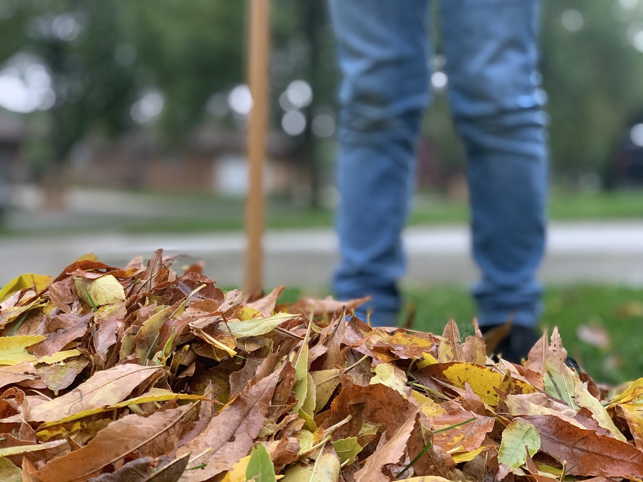 Un homme balaie les feuilles séchées sur la pelouse | Source : Pixabay