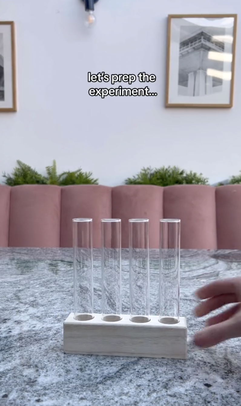 Des tubes à essai pour l'expérience de propagation dans un clip mis en ligne le 5 octobre 2024 | Source : TikTok/thelittlelifelately