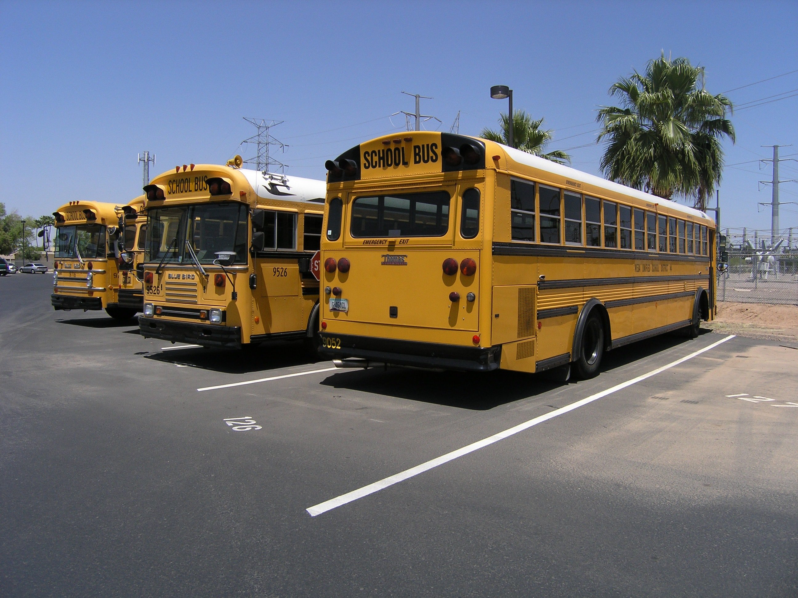 Bus scolaires | Source : Unsplash