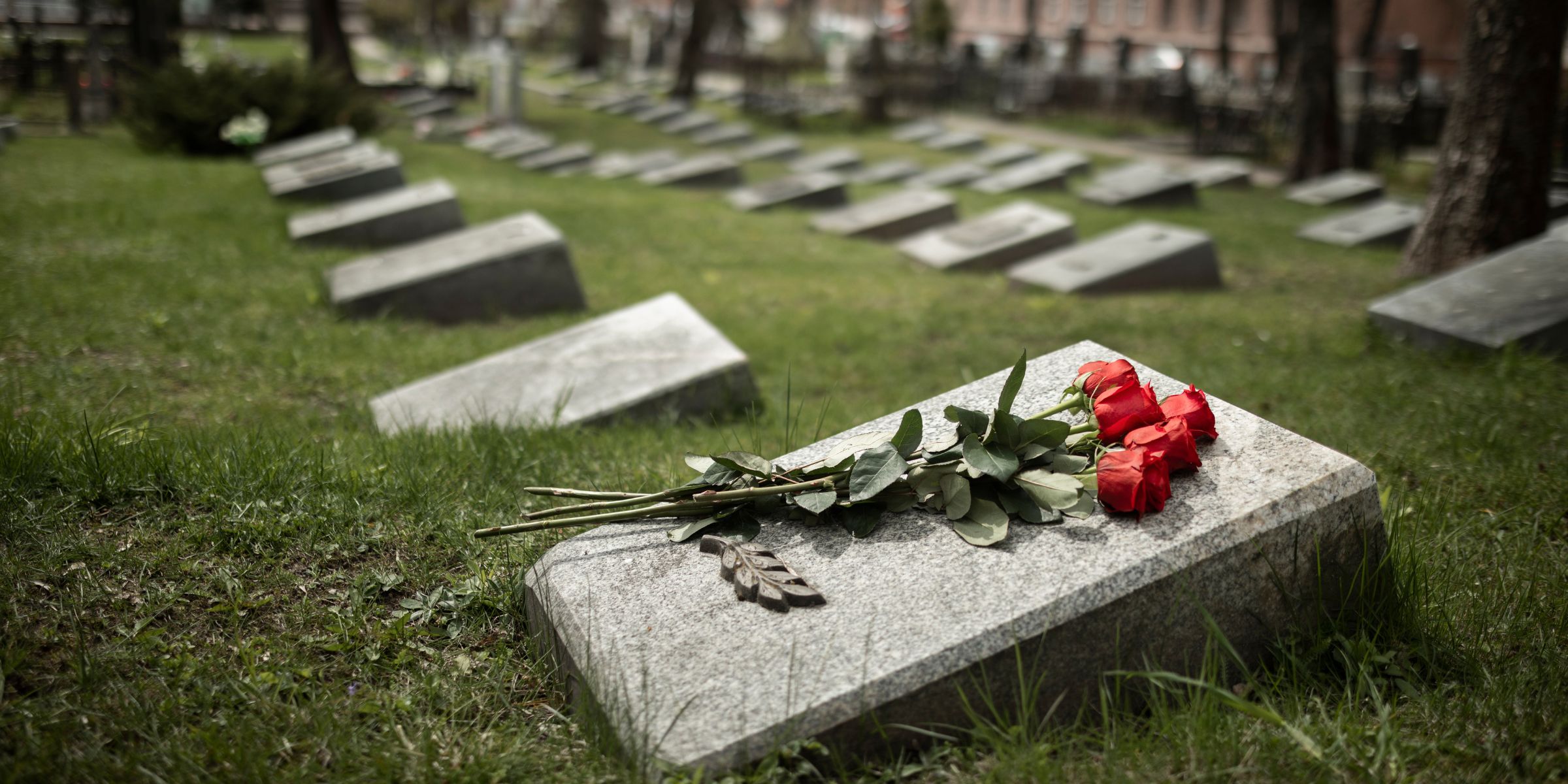 Des roses sur une pierre tombale | Source : Magnific