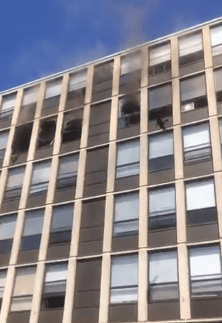 Un chat saute d'un bâtiment en feu. | Photo : Twitter/ Chicago Fire Media