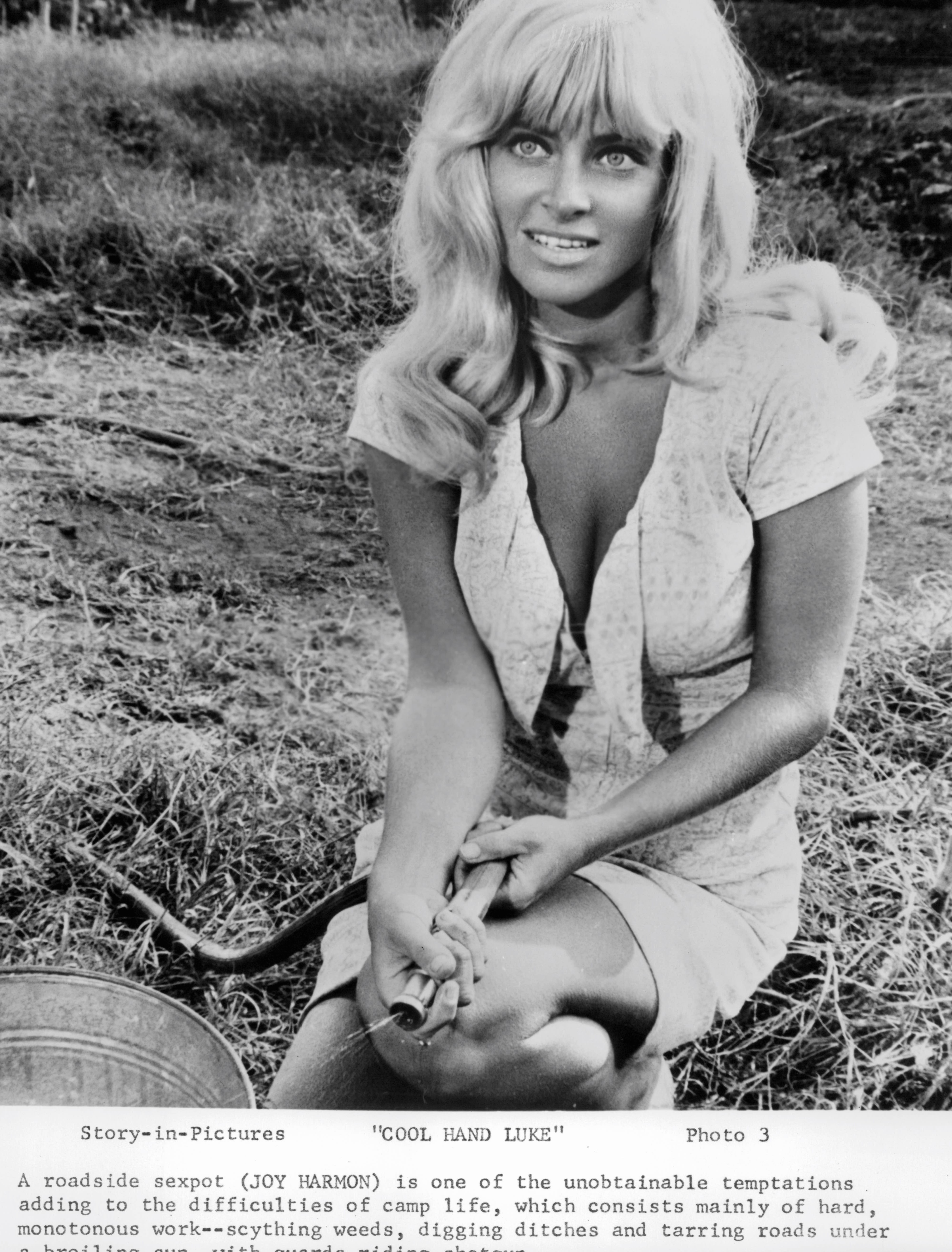 L'actrice dans une scène du film « Cool Hand Luke » (1967). | Source : Getty Images