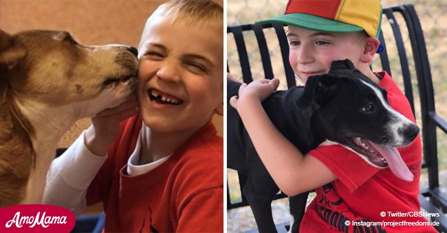 Un garçon de 7 ans a sauvé plus de 1 000 chiens de la mort de la manière la plus imprévisible