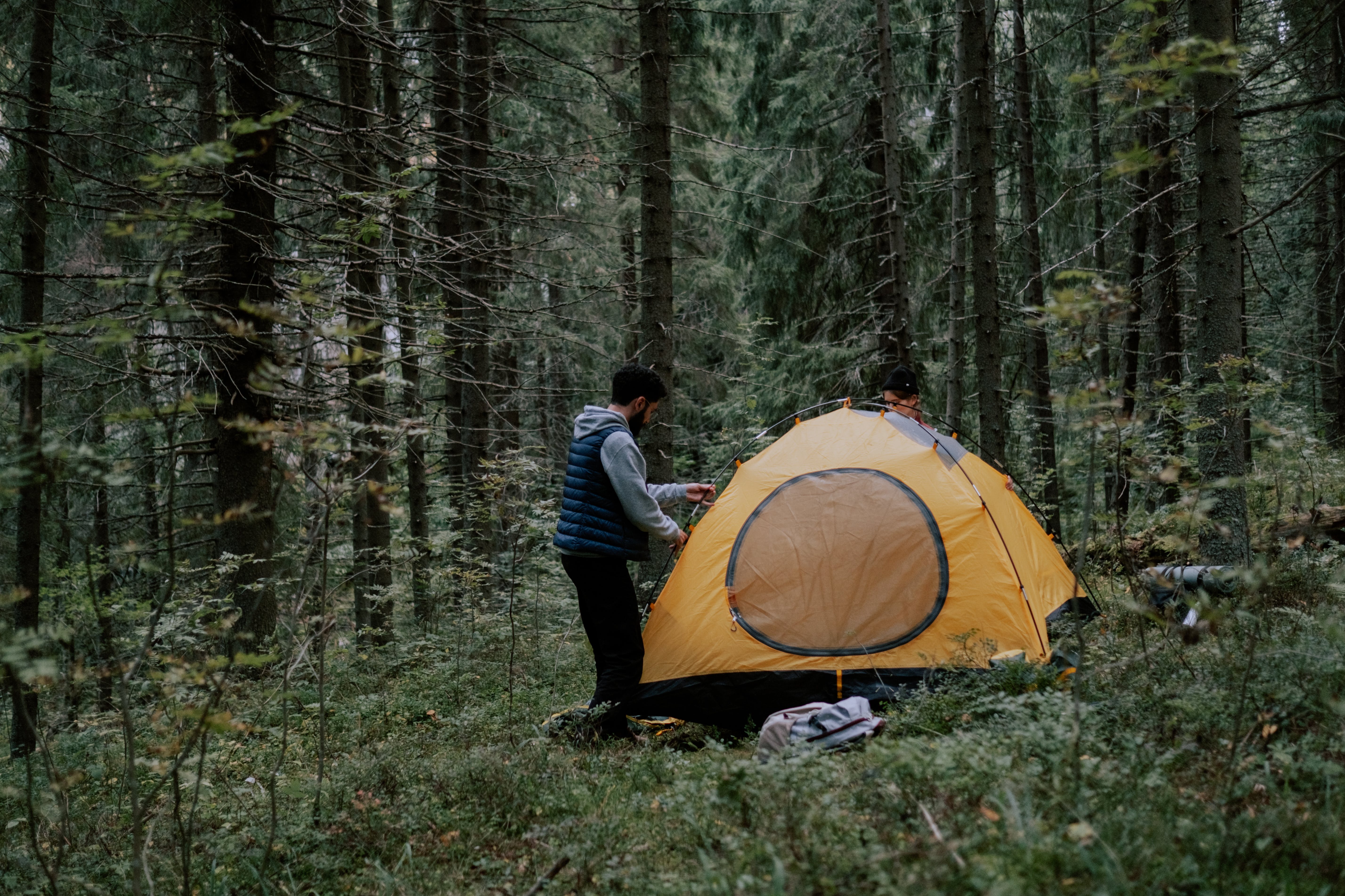 Un homme qui monte sa tente dans la forêt | Source : Pexels