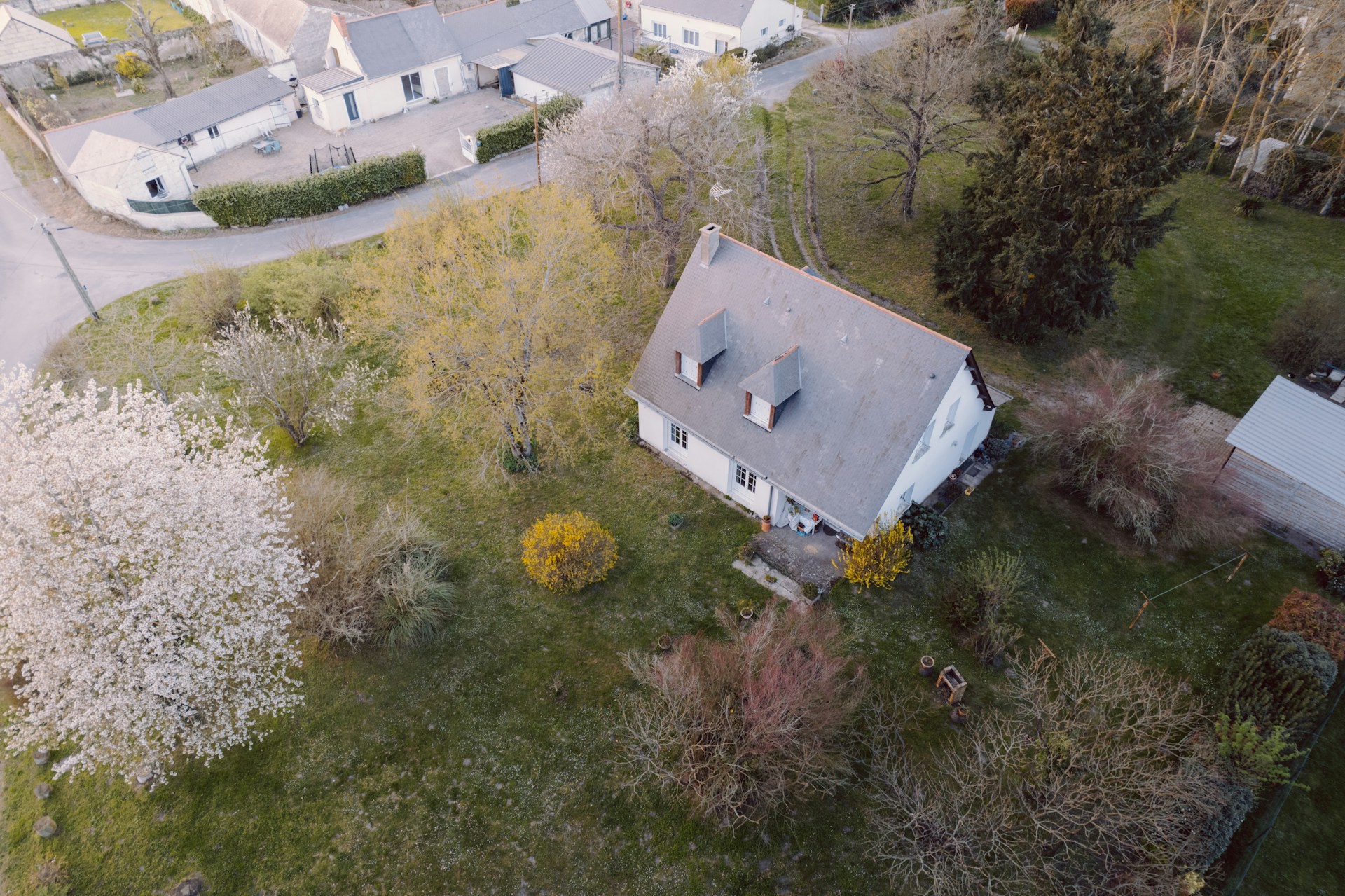 Vue aérienne d'une maison avec une pelouse ornée d'arbres | Source : Unsplash