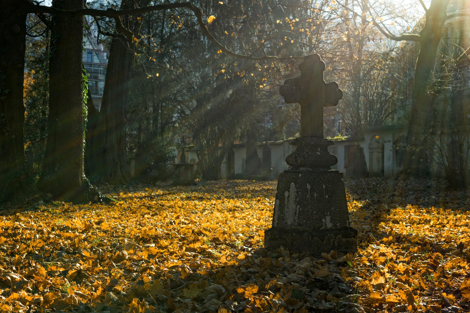 Rayons de soleil dans un cimetière | Source : Pexels