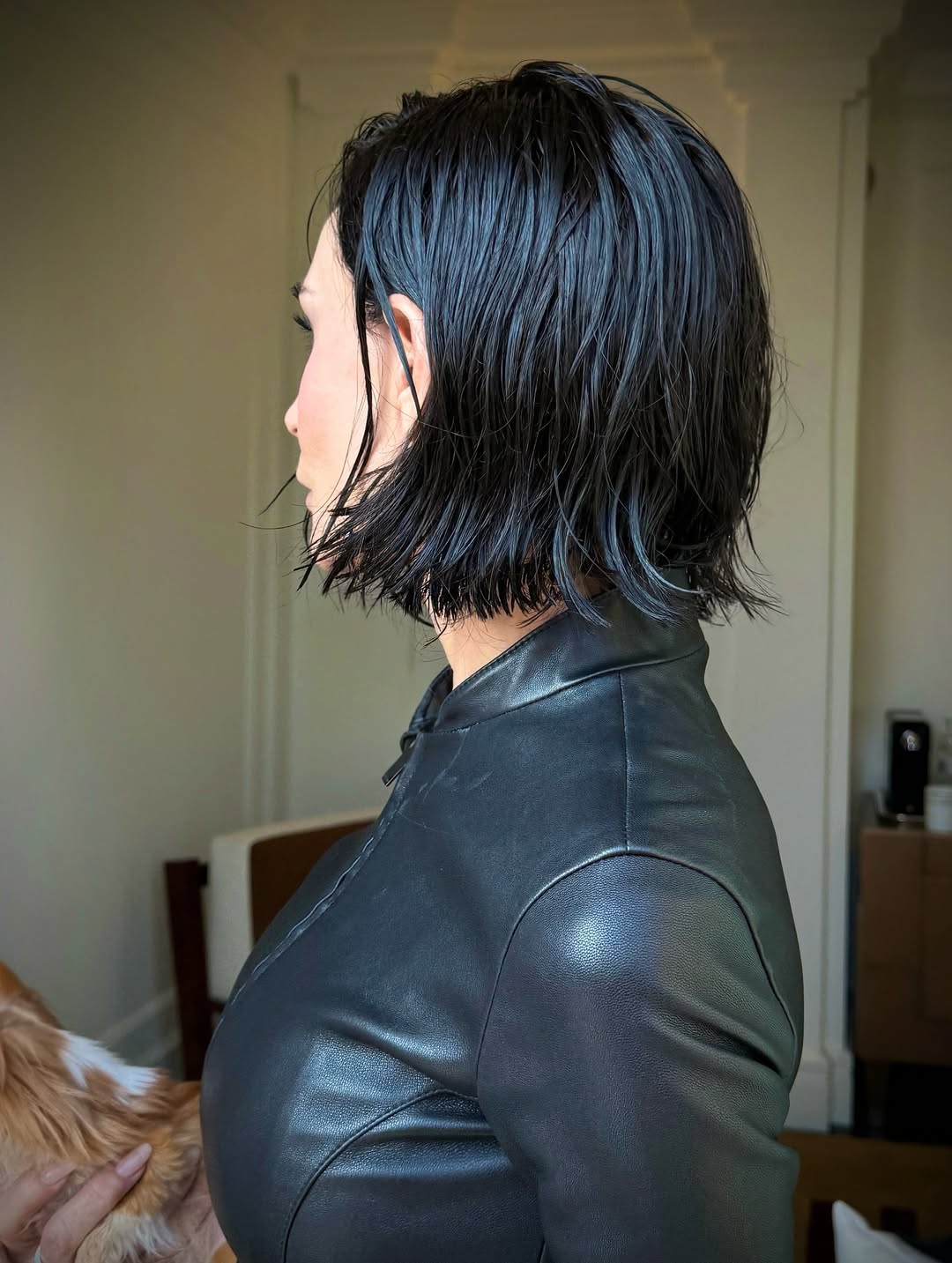Demi Moore sur une photo postée le 27 février 2026. | Source : Instagram/dimitrishair