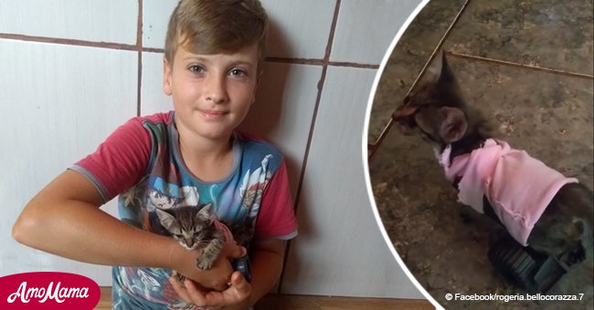 Un garçon de 9 ans a eu la bonne idée de sauver un chaton qui ne peut pas marcher avec ses jouets
