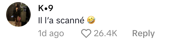 Commentaire d'une internaute sur la réaction d'Achraf Hakimi en voyant Brigitte Macron | Source : TikTok/rediff.live.com