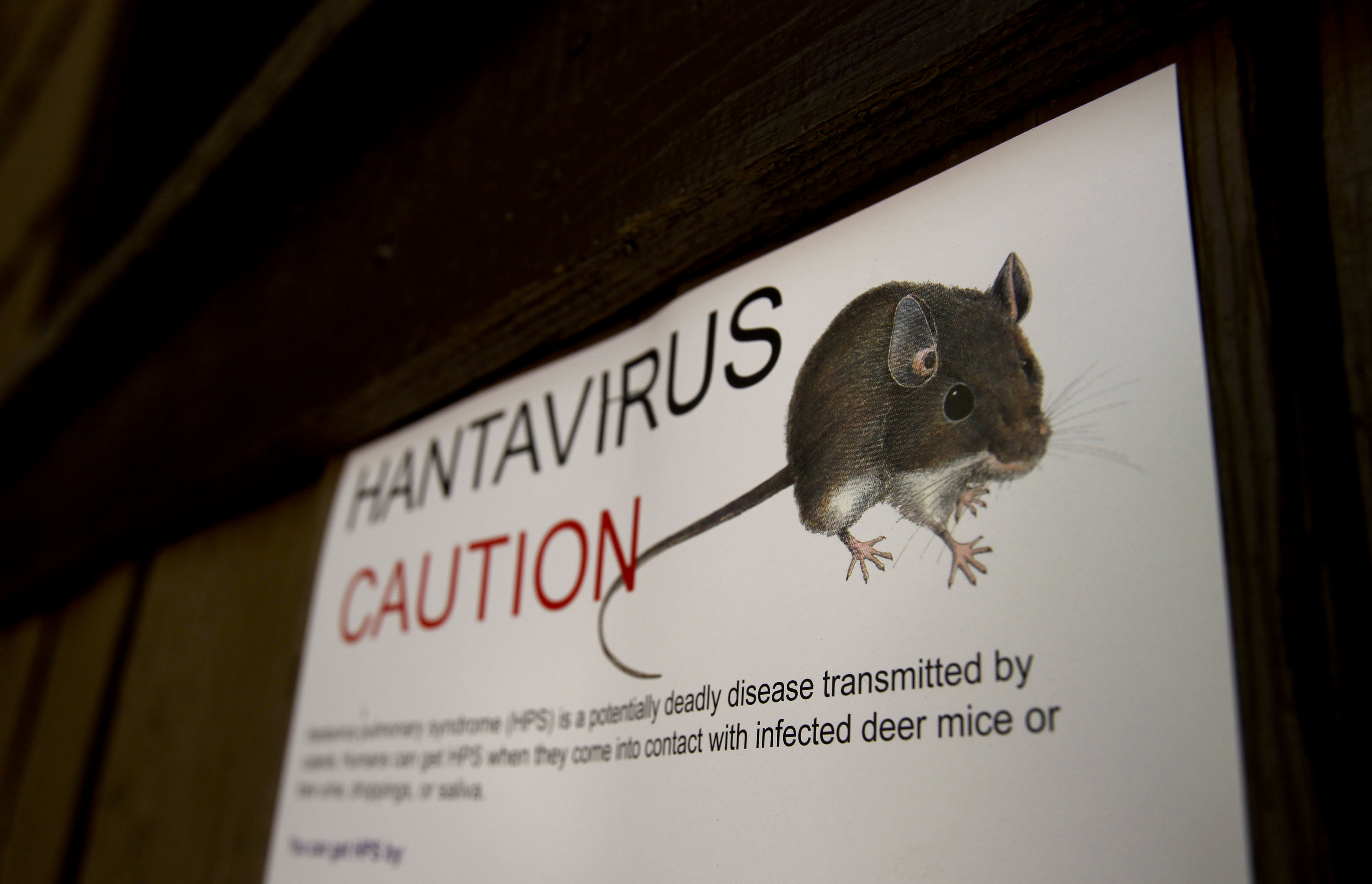 Des panneaux d'avertissement concernant l'hantavirus installés un peu partout dans le Curry Village, au parc national de Yosemite, en Californie, le 28 août 2012. | Source : Getty Images