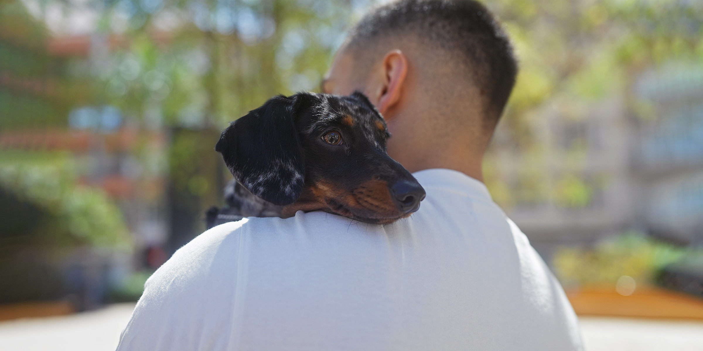 Un homme avec un chien | Source : Shutterstock