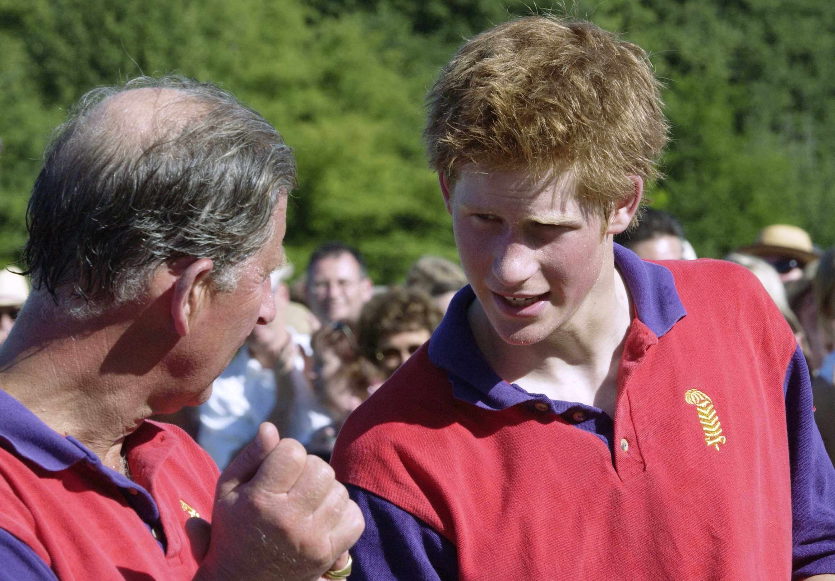 Le prince Charles et le prince Harry lors d'un match de polo le 12 juillet 2003 à Tidworth, en Angleterre | Source : Getty Images