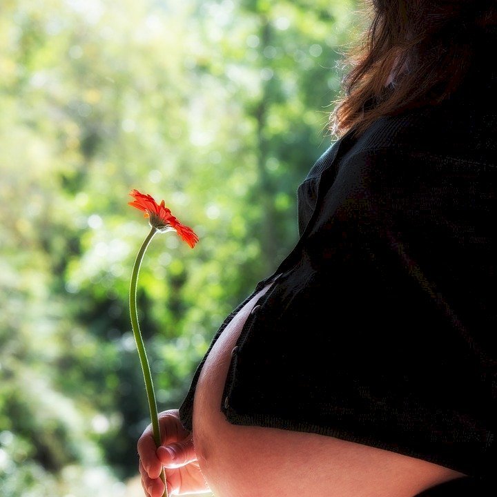 Une femme enceinte : Photo : Pixabay