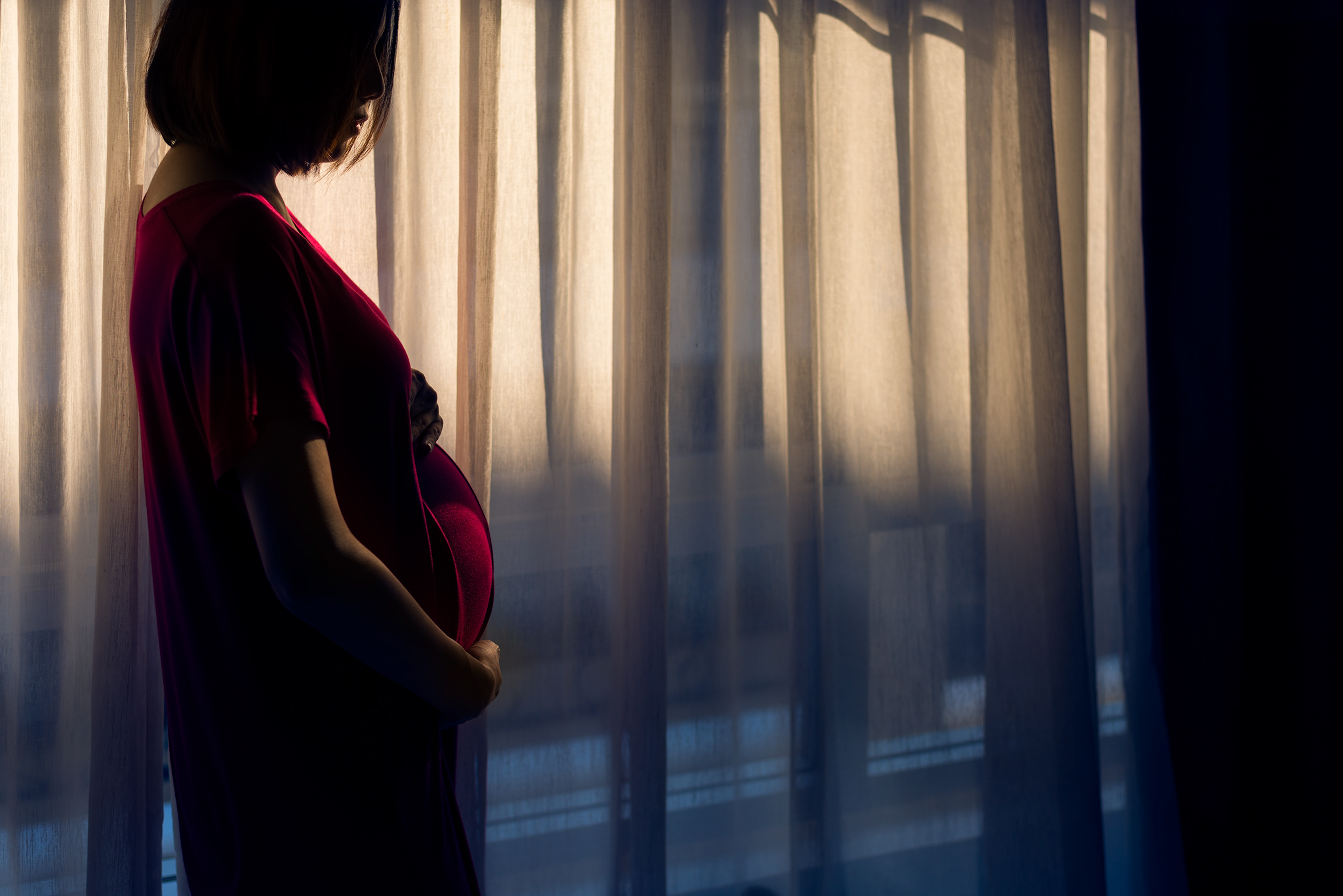 Mulher grávida adora a alegria da mãe | Fonte: Shutterstock.com