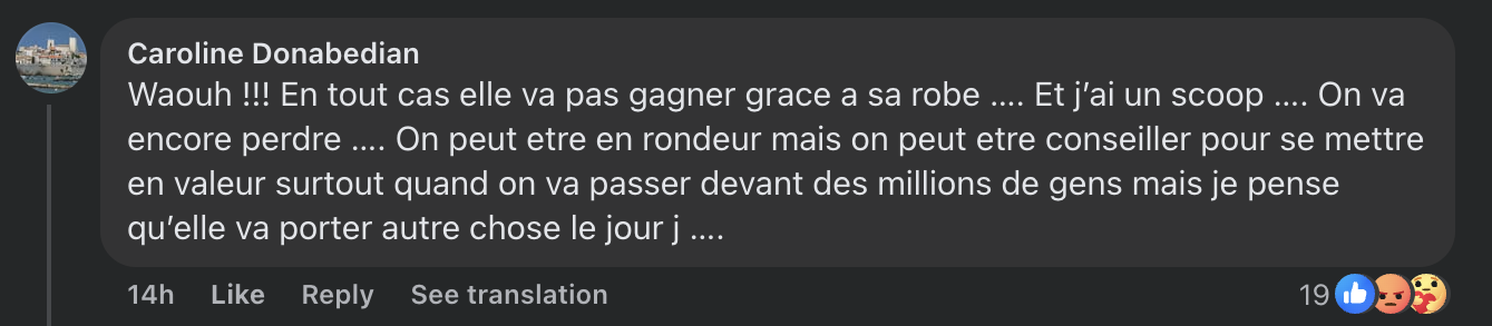 Commentaire d'internaute sur la robe de Louane | Source : capture facebook.com/parismatchmag