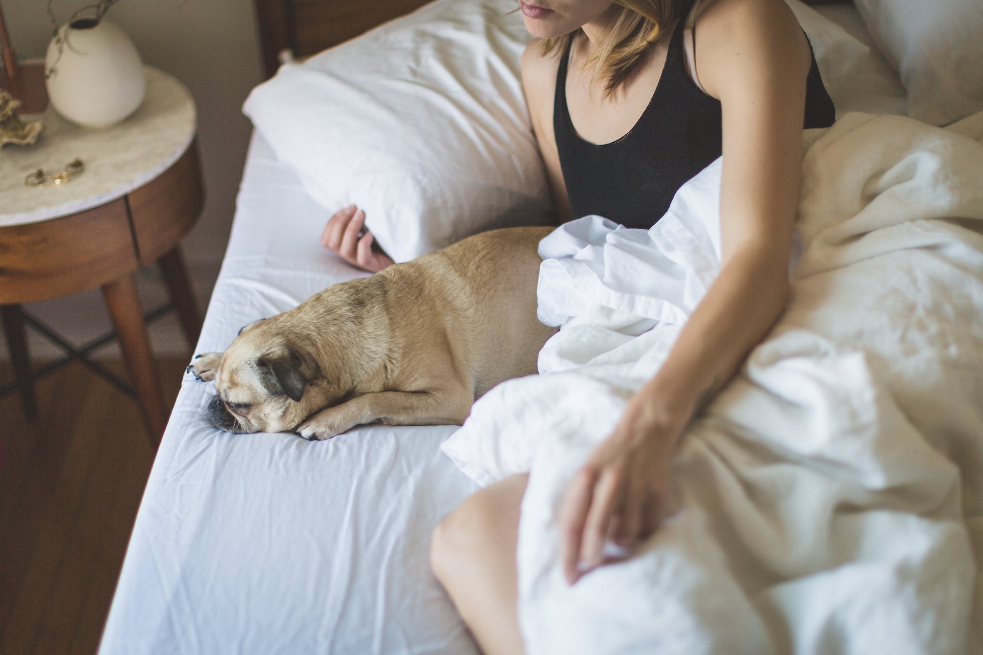 Femme et chien au lit | Source : Pexels