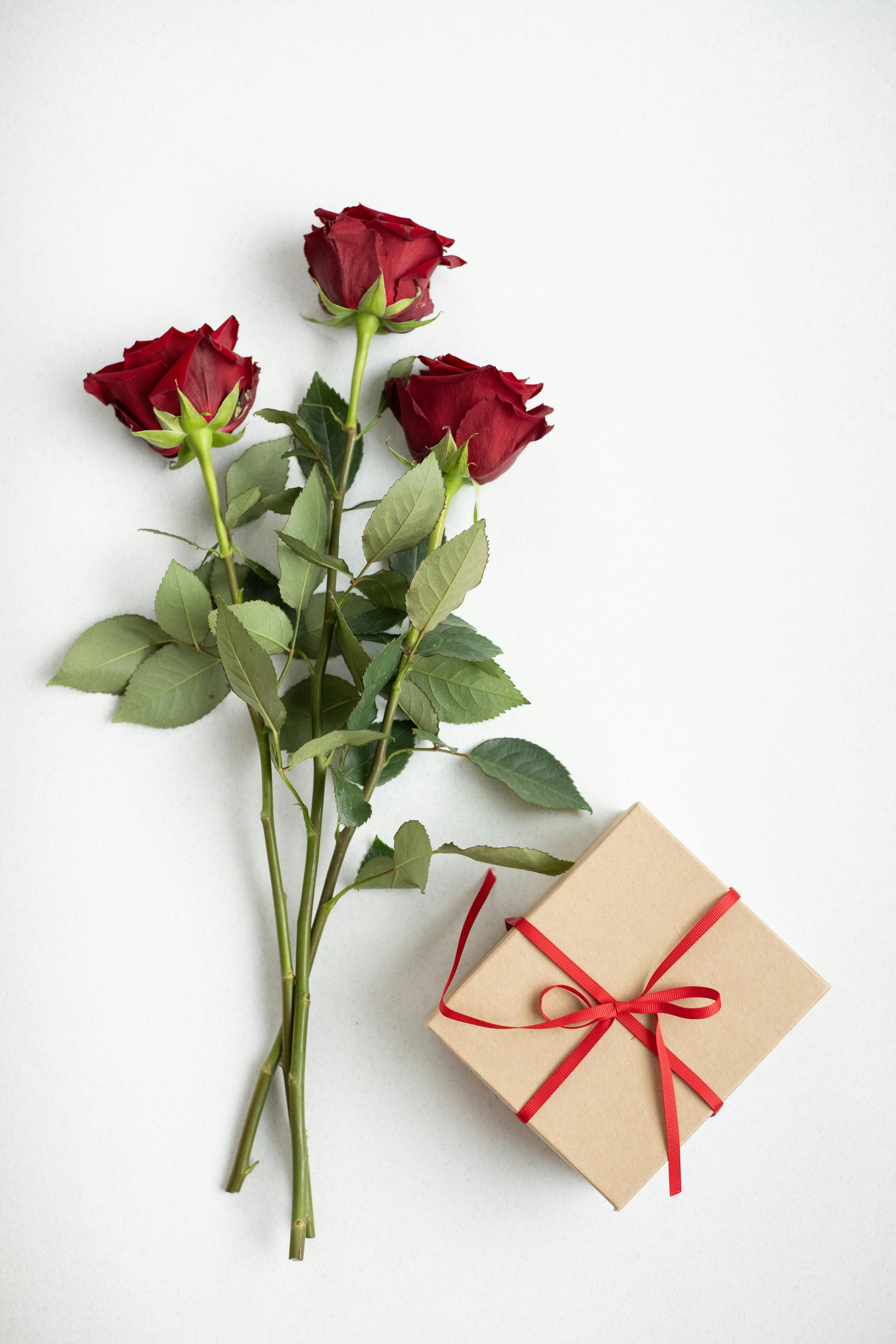 Un paquet cadeau et quelques roses | Source : Pexels
