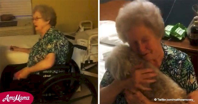Une personne âgée dévastée qui a perdu son chien n'arrête pas de pleurer en voyant sa nouvelle meilleure amie (Vidéo)