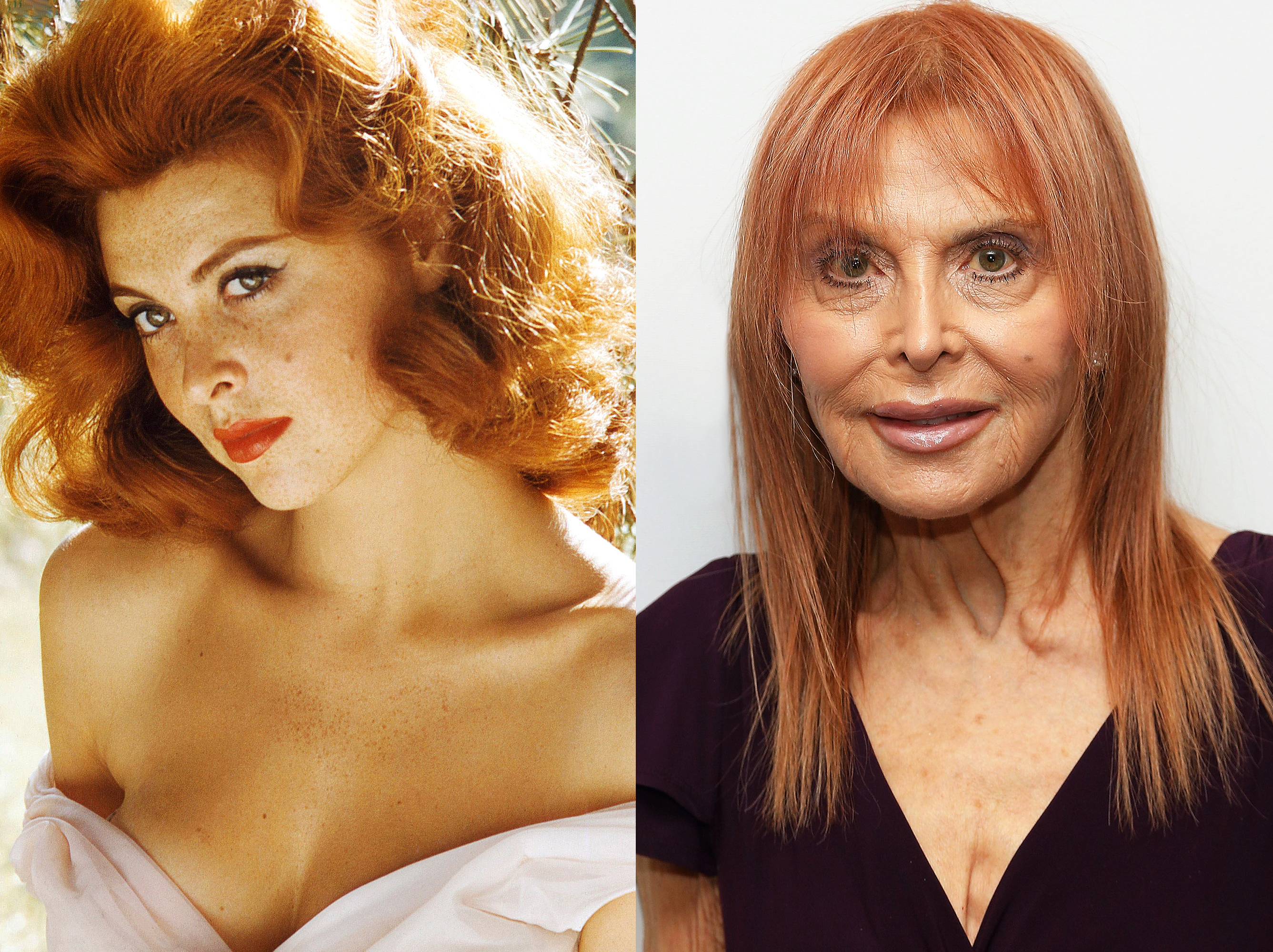 Tin Louise, 1960 | Tina Louise, 2018 | Source : Getty Images