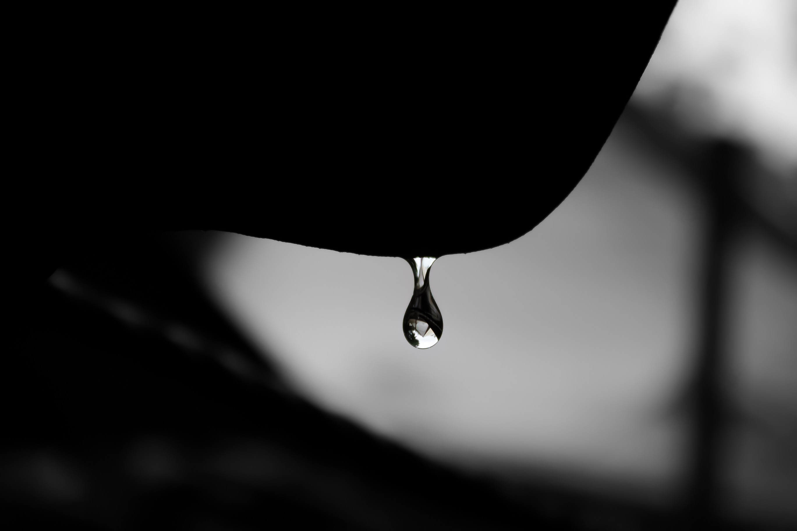 Imagem para fins ilustrativos. | Foto: Unsplash